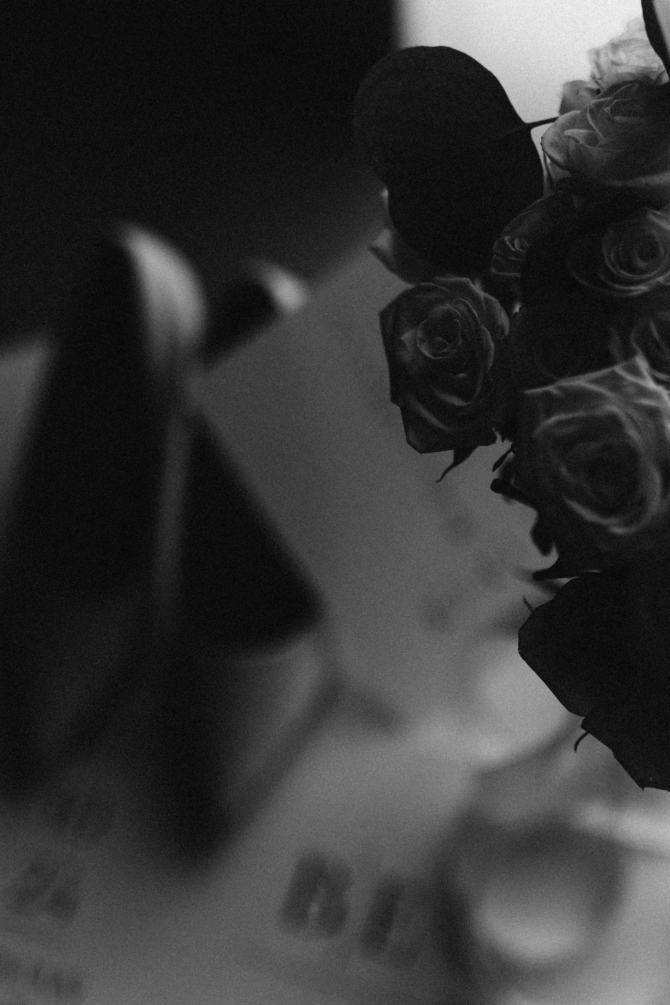 NOVA. Mandarin.photo