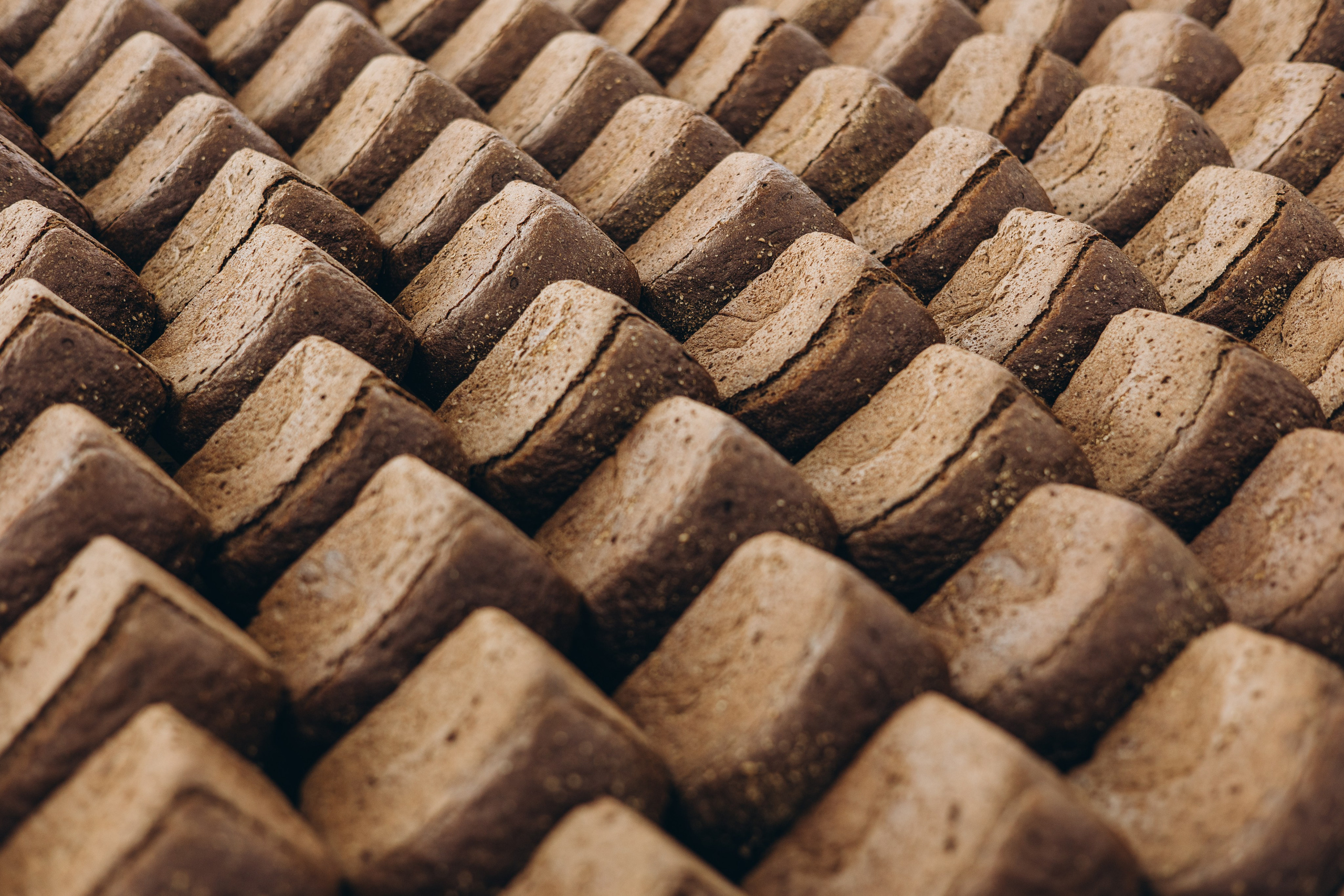 Brot Master. Жданова Дарья Фотограф Ташкент