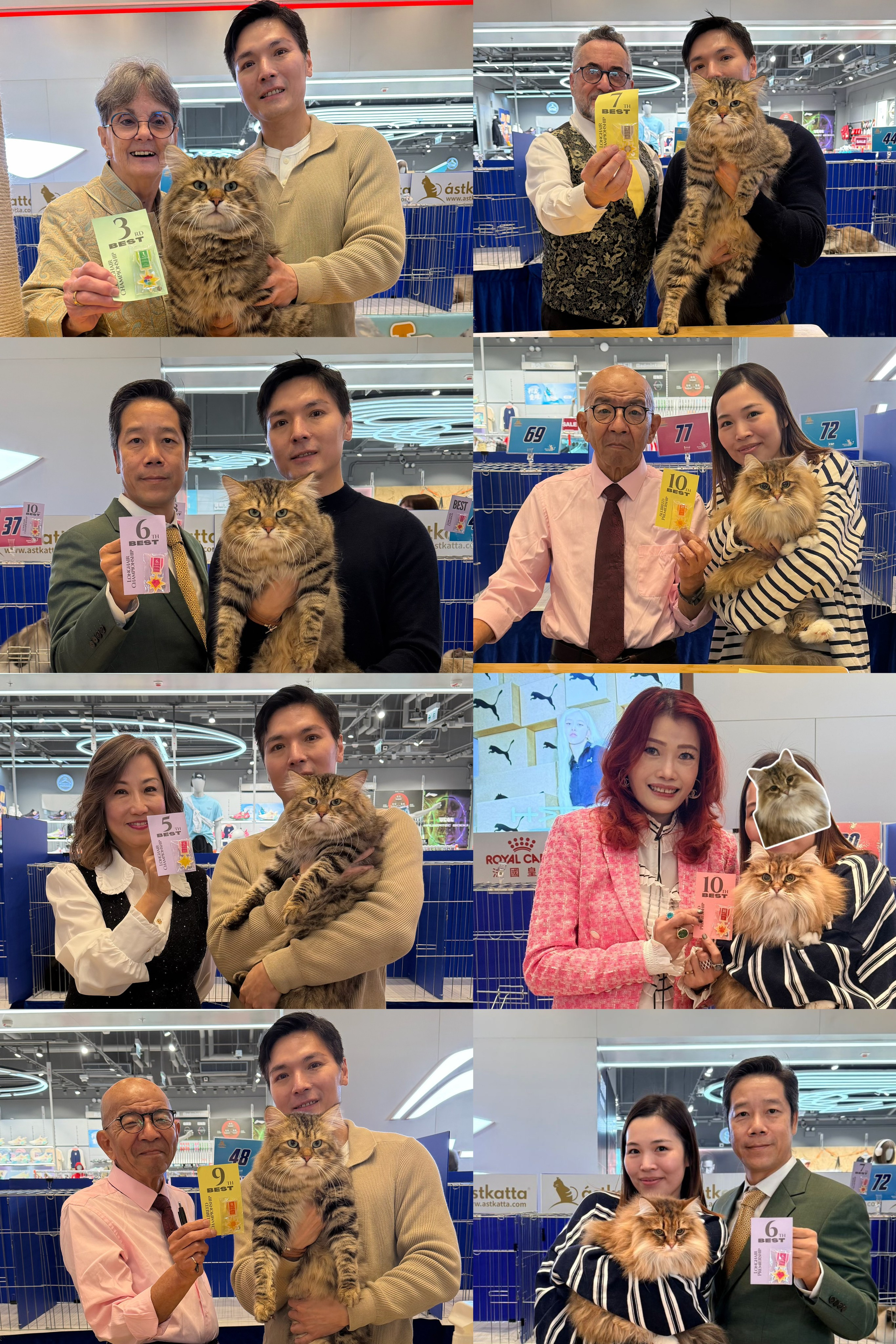 GC Sladkoe Pyatnyshko Chudo3rd Best Longhair Championship by Pam DelaBar5th Best Longhair Championship by Grace Cheung6th Best Longhair Championship by I. Rattanawerrawong7th Best Longhair Championship by Teo Vargas10th Best Allbreed Championship by Edward Maeda GP Lemon Green Brigitte Bardot 6th Best Longhair premiership by I. Rattanawerrawong 10th Best Allbreed Premiership by Edward Maeda10th Best Allbreed Premiership by Suki LeeMany thanks to the organizers for hosting such a wonderful show, and to all the judges for their kind appreciation of our cats. It was also a pleasure meeting new friends at the event. Special thanks to Brigitte’s owner for presenting her in such beautiful peak condition.P.S. I missed my last ring’s all-breed title — and even lost some points. But I’m truly thankful to the heartfelt friends who tried to reach me by calling my phone, lol.