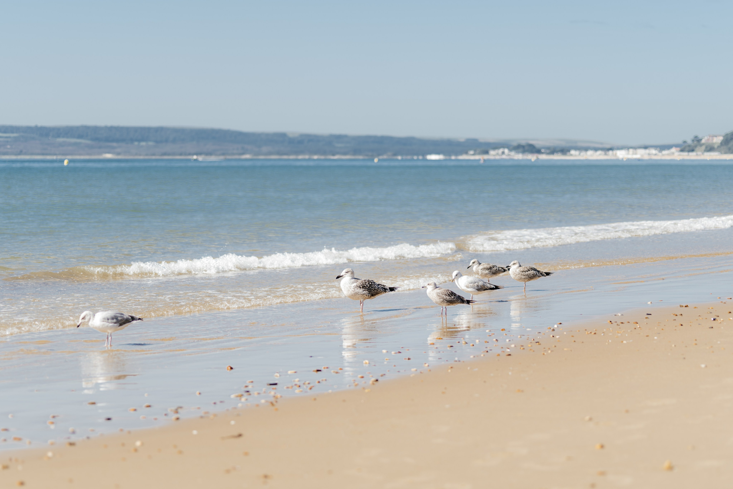 Alejandra & Jason. Bournemouth Highcliff Marriott Hotel. Timeless Wedding & Events Photography. Based in London, working across Europe