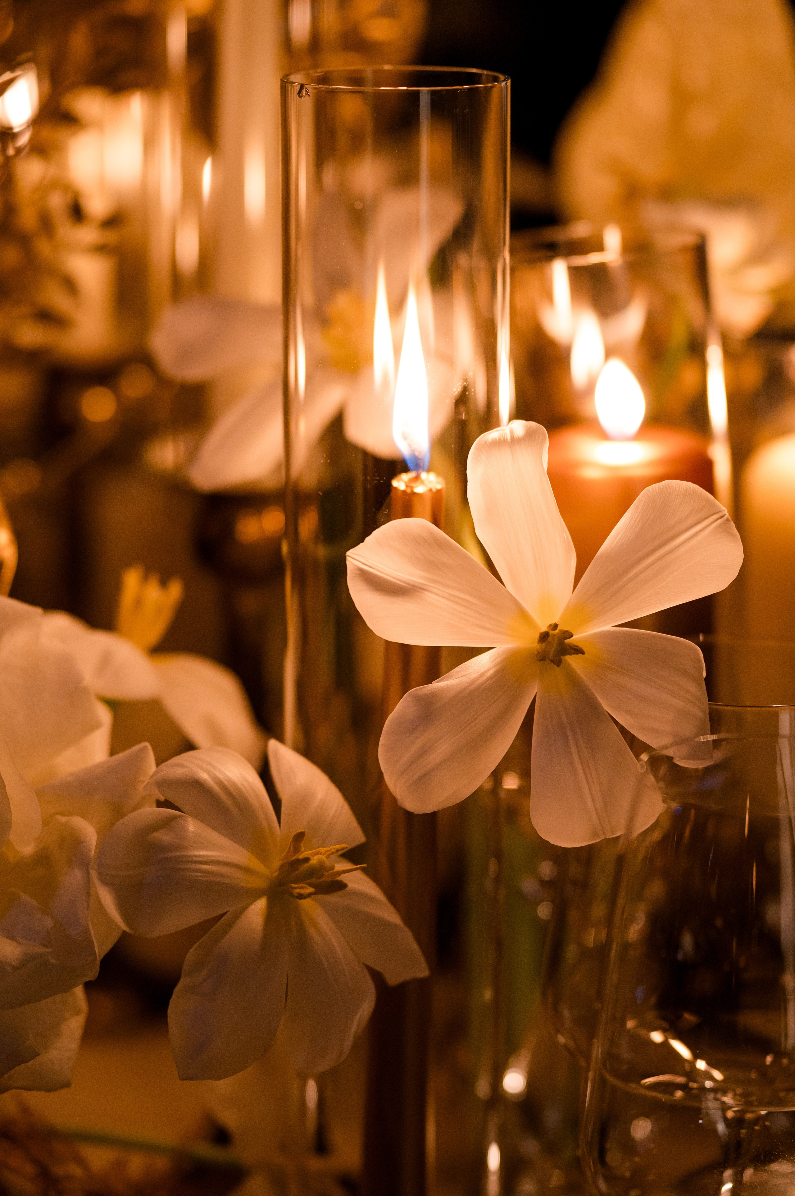 D’Alba Gala Dinner. Destination Wedding photographer Italy, France, Germany, Spain, Poland Oleg Zaicev