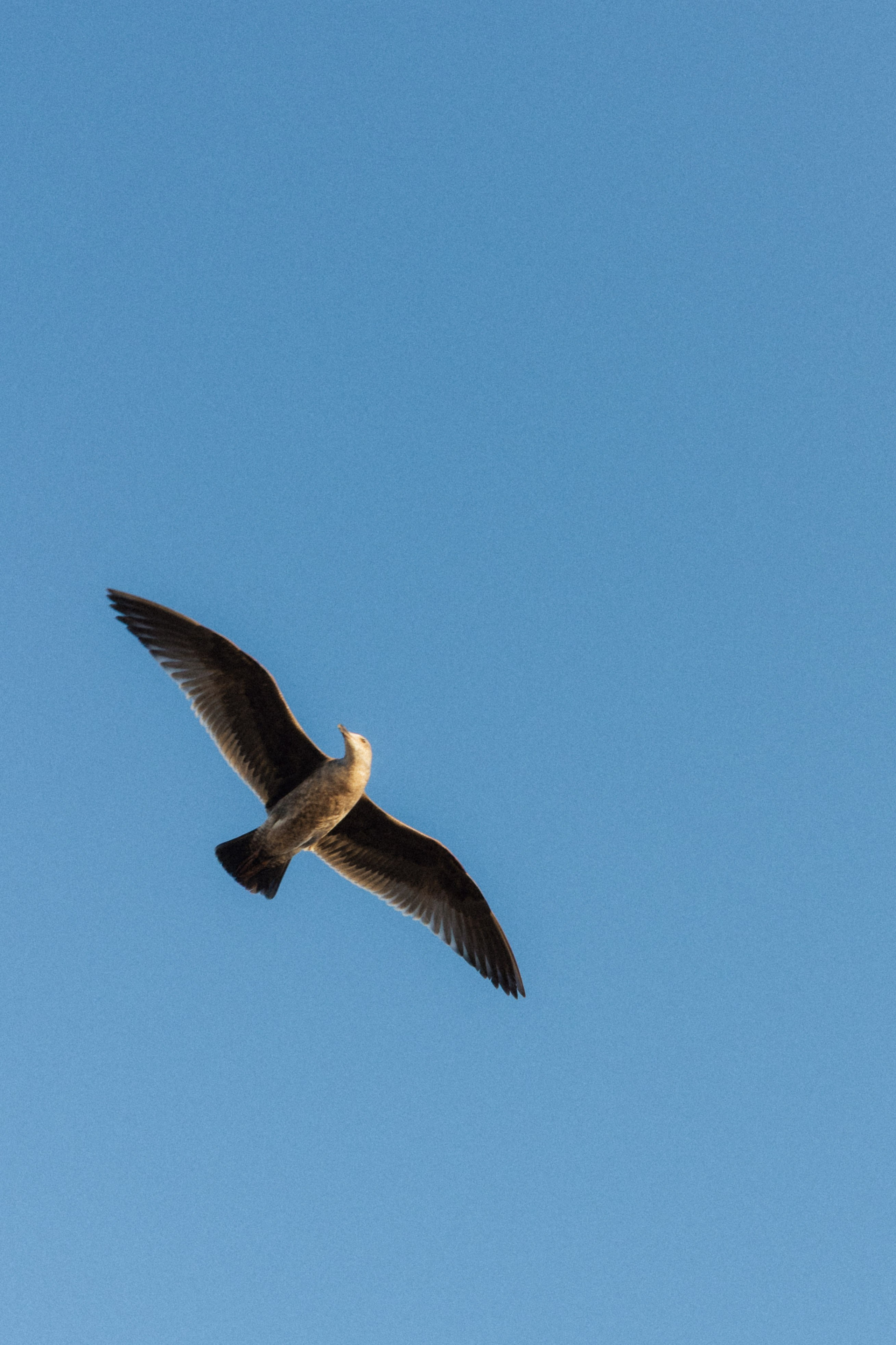 Los Angeles. Aleks.photo | Book a photoshoot