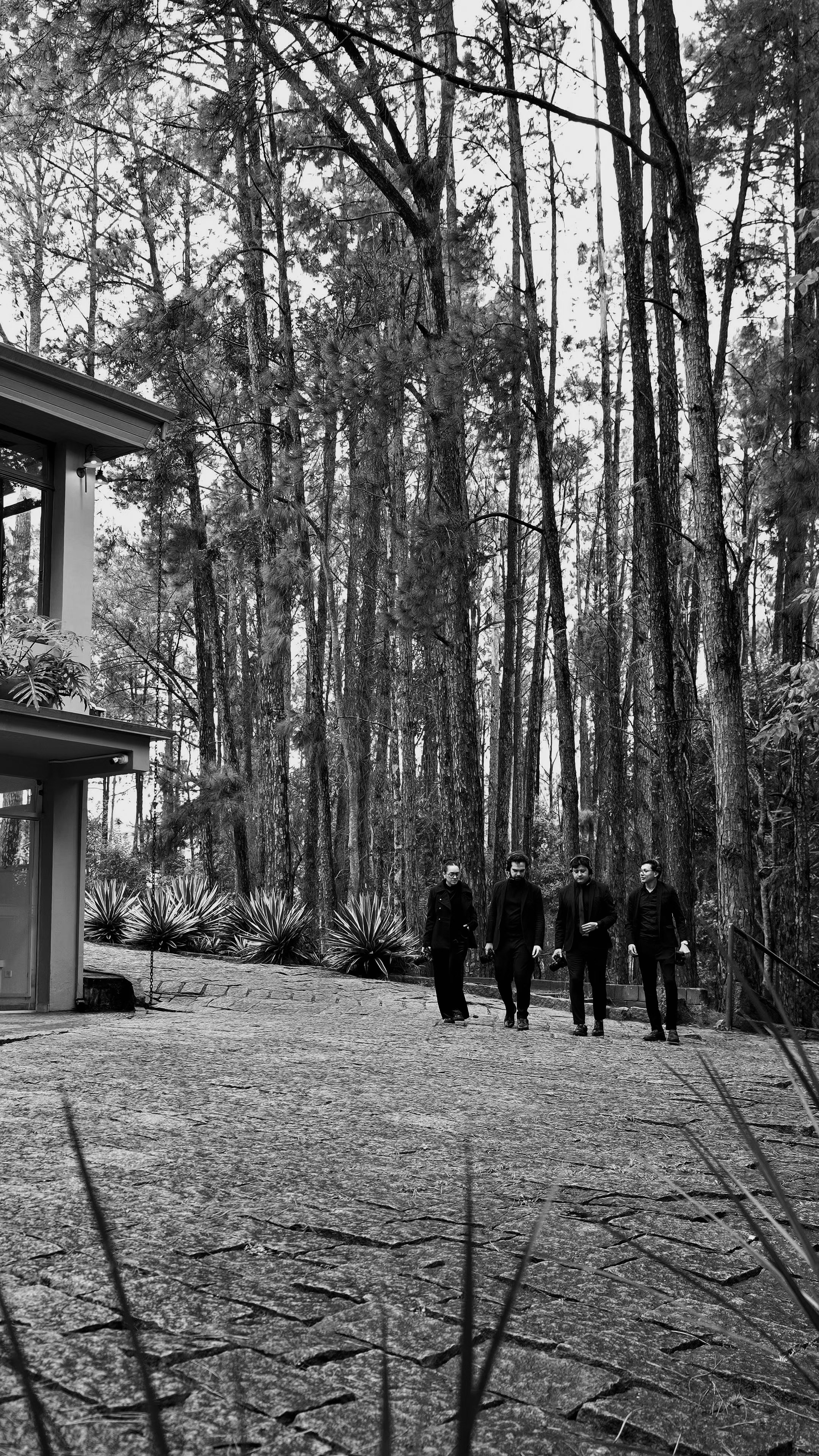 CONTATO. Onset Wedding
