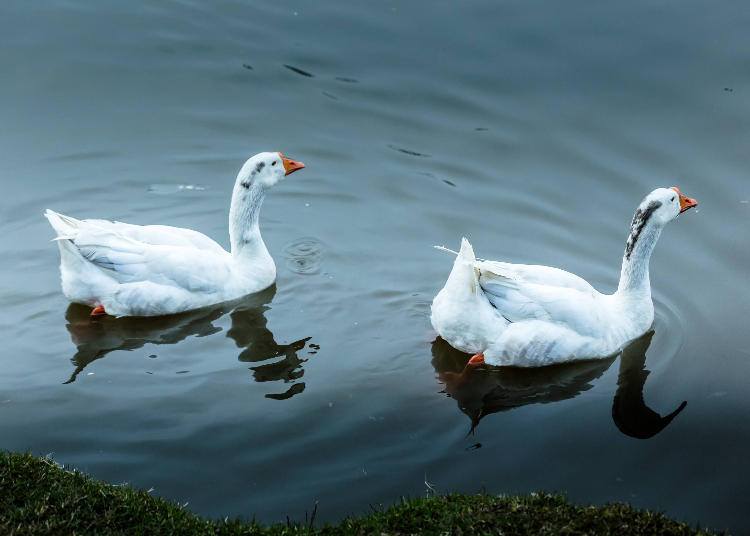 Urban. PHOTOSTORYNIKA