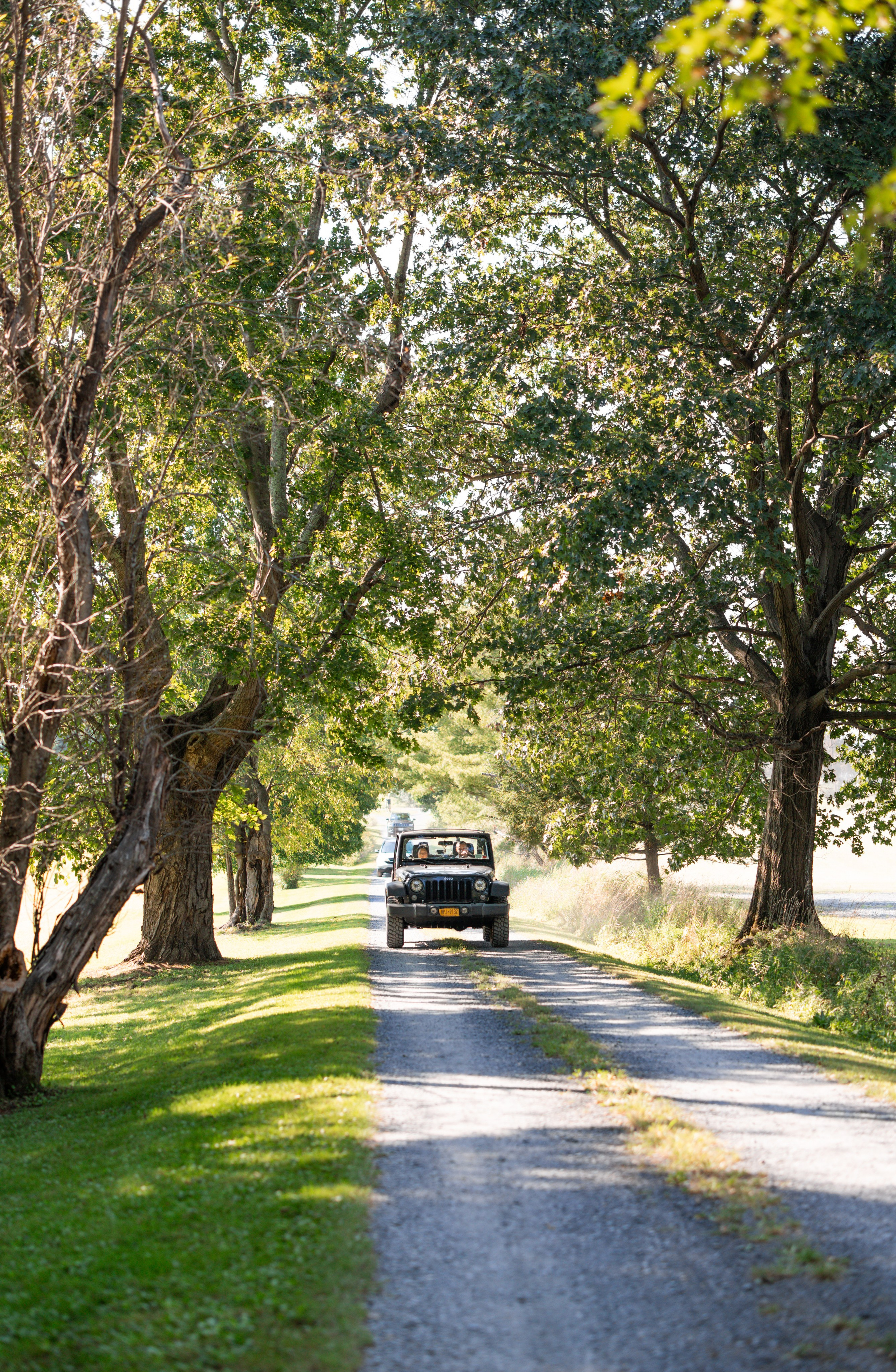 Cherri & Gerard. Wedding Photo & Video