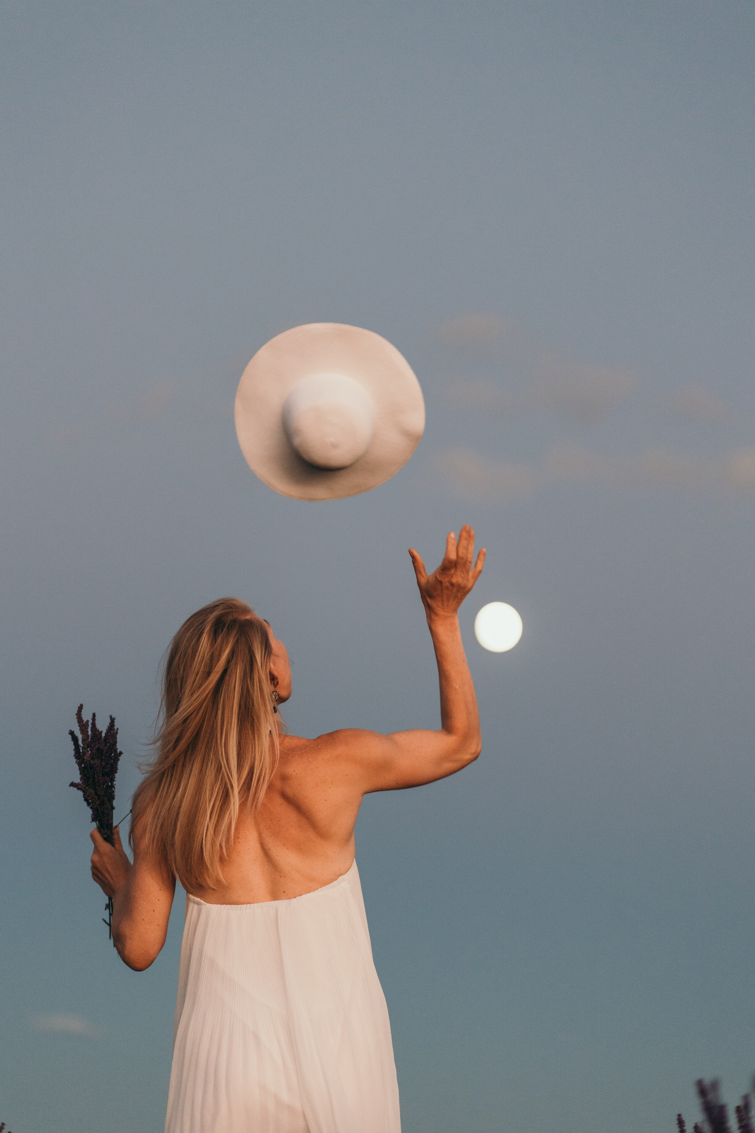 Lavendel. Kristina Podolyakova - Fotografin in Ludwigsburg