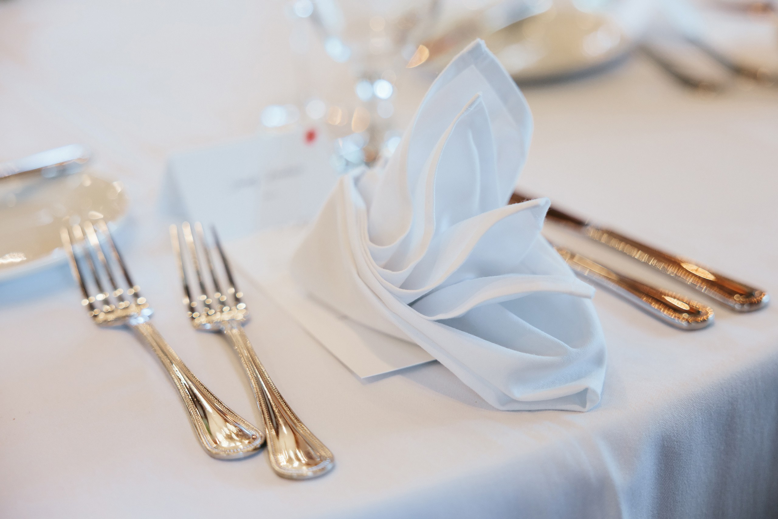 06.14.2025 Wedding. Wedding family event photographer in Chicago Nick Yushevich