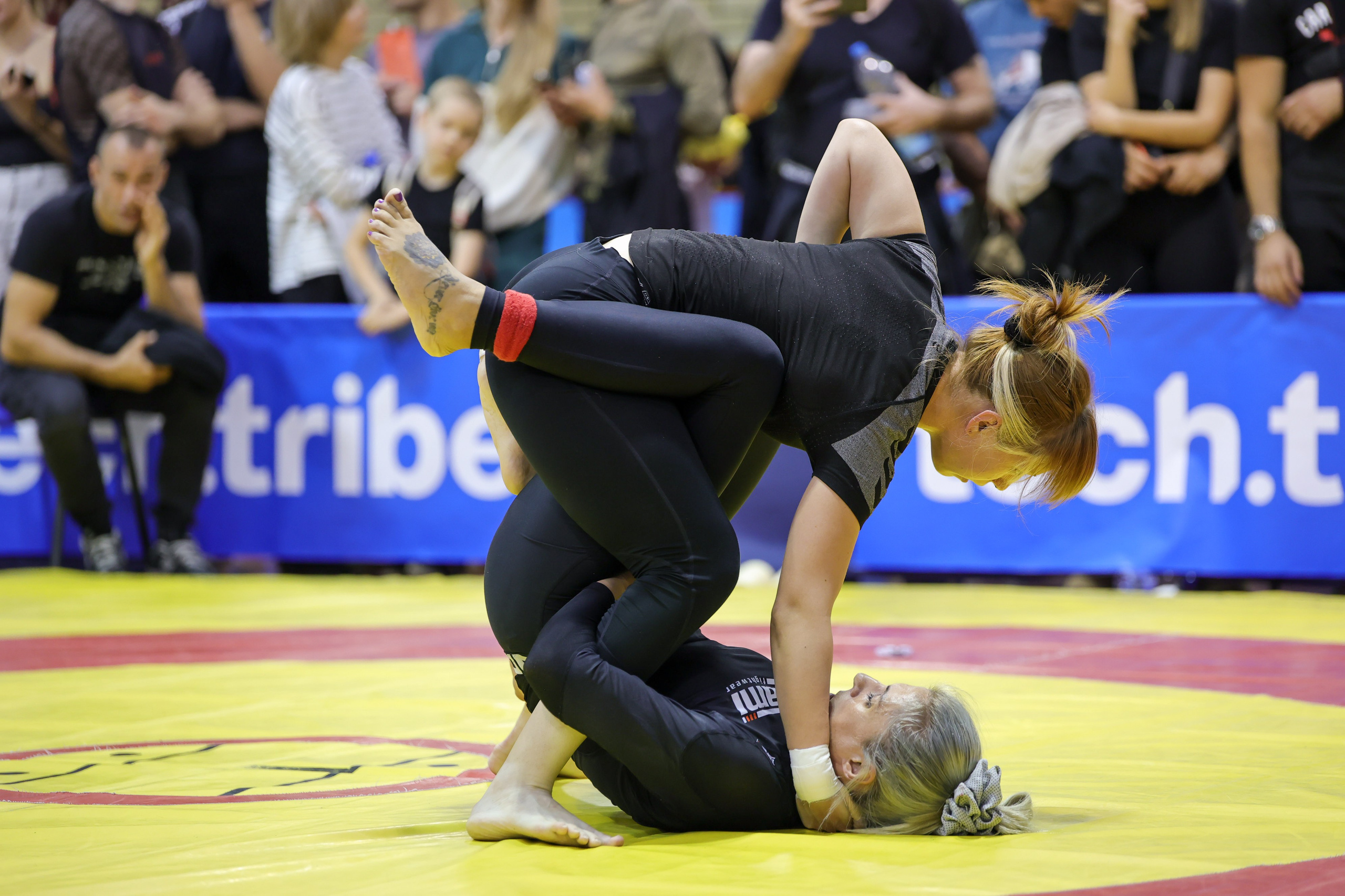 NO GI Challange Novi Sad 2025 u saradnji sa Eventlens-om. Fotograf Ivan Grubački