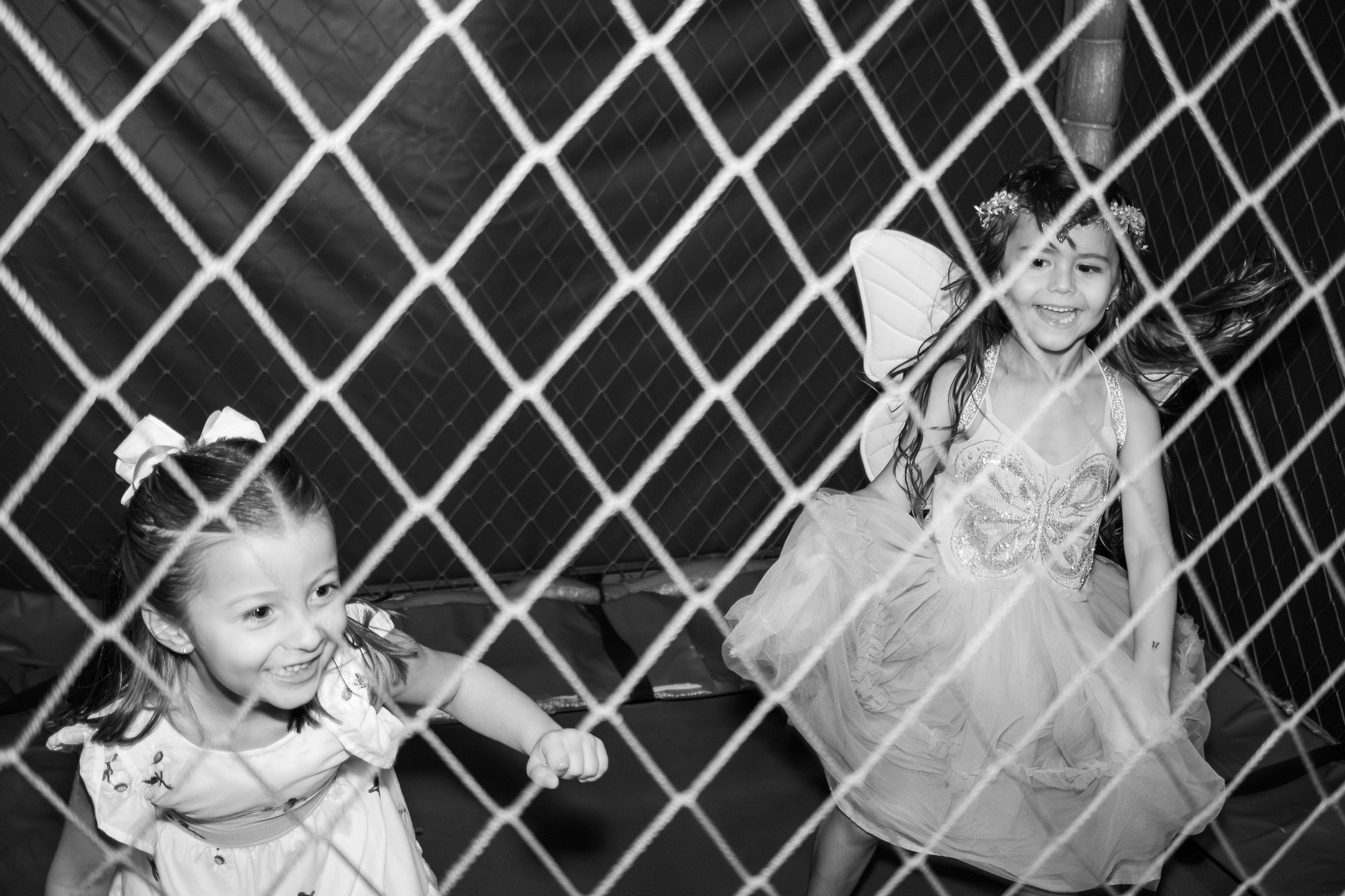 Stella — Aniversário 6 anos. Principal