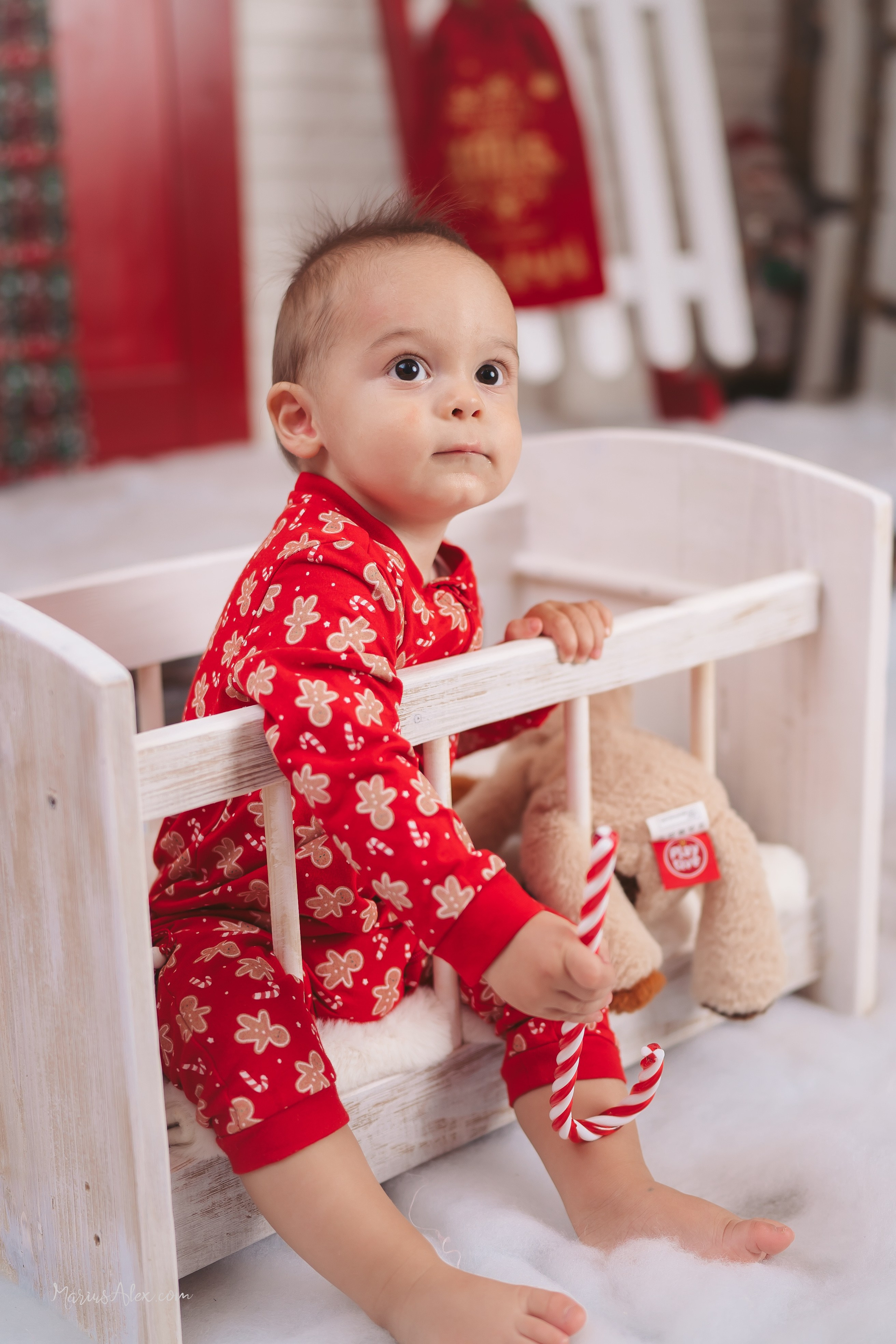 Familia Hacman - Un Crăciun de poveste. Marius Alex fotograf de eveniment si portret din Suceava
