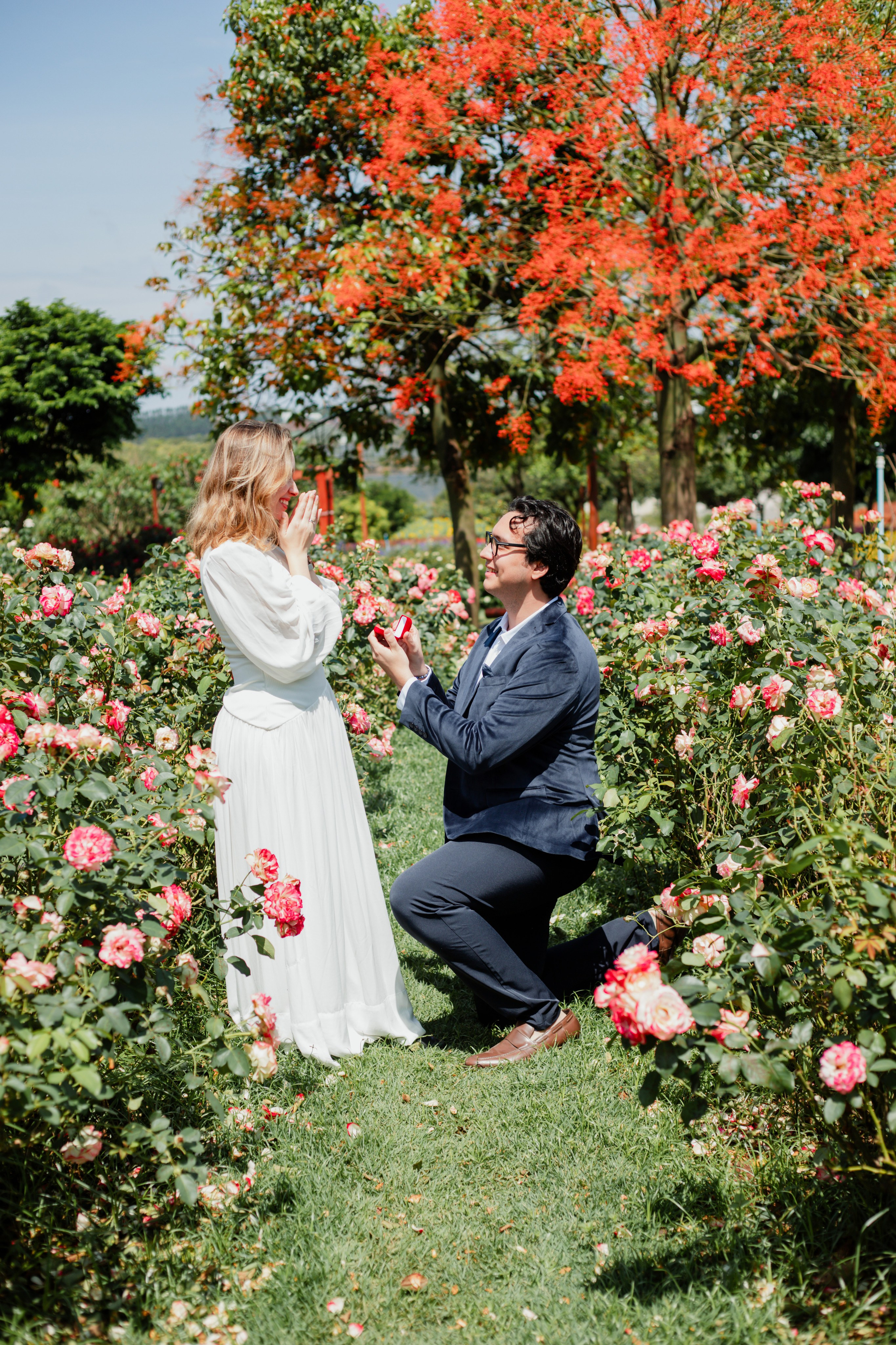 Pedido de Casamento /Bloemen Park. Joyce Maria Fotografia | Fotógrafa em Holambra