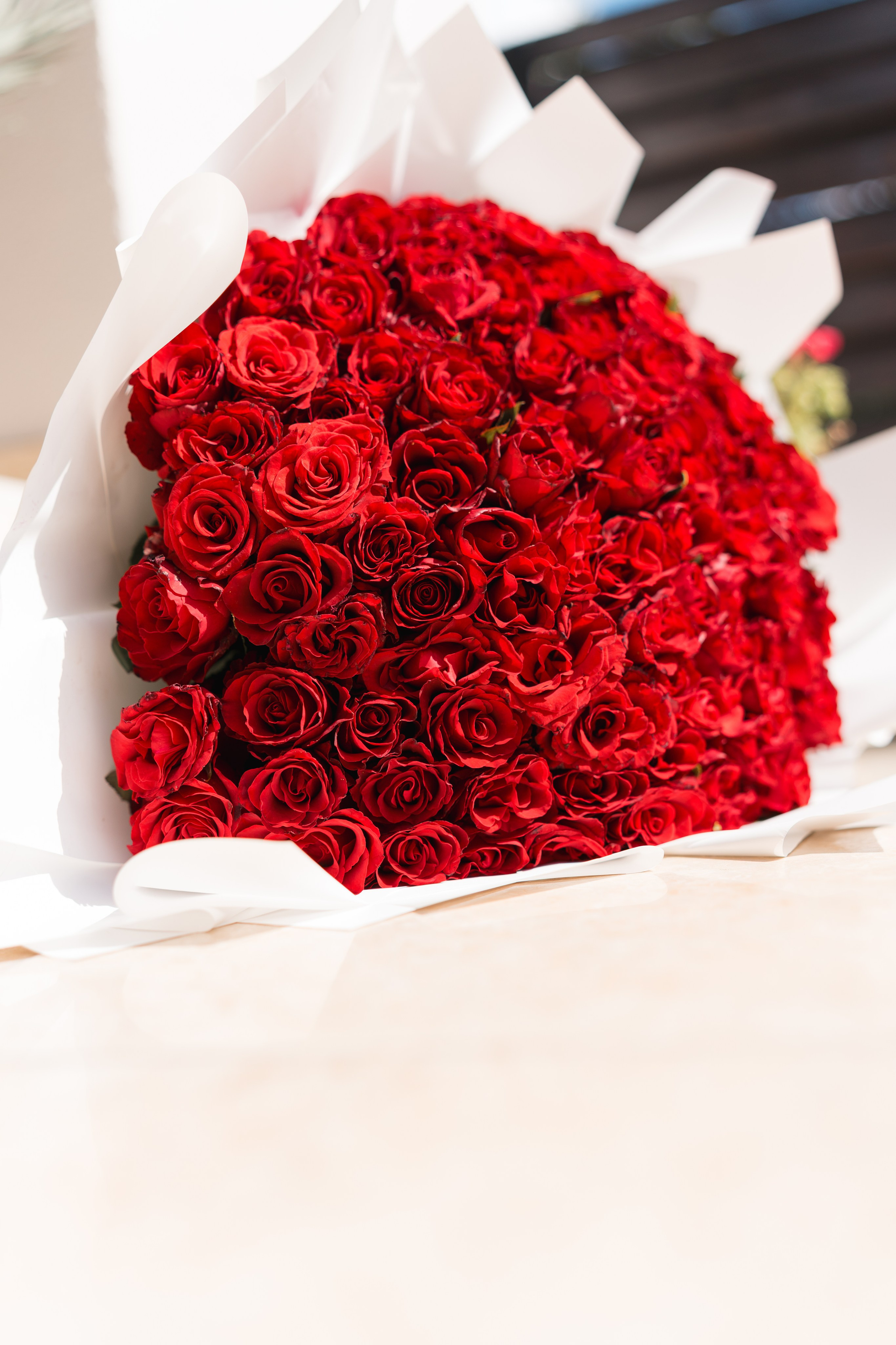 STEFAN & INA - CUNUNIE CIVILA. Fotograf Nuntă | Lucian Murgeanu - Fotograf Profesionist Evenimente