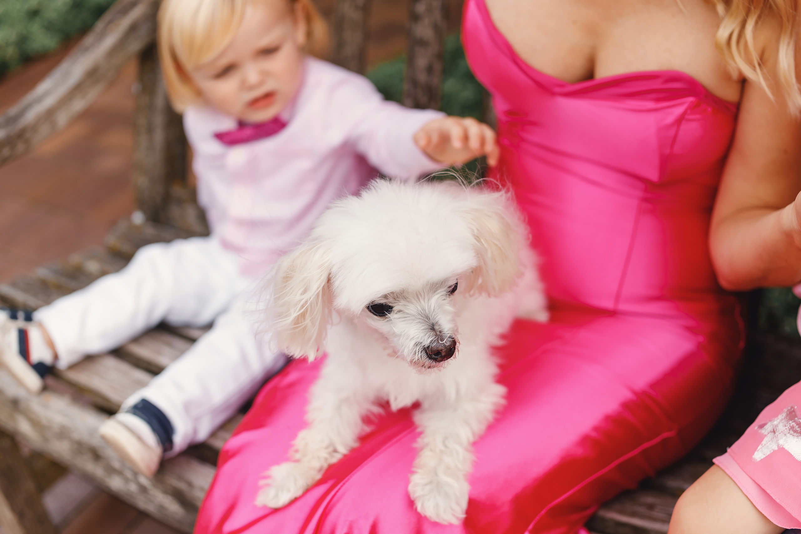 10.09.2020 Family photoshoot. Wedding family event photographer in Chicago Nick Yushevich