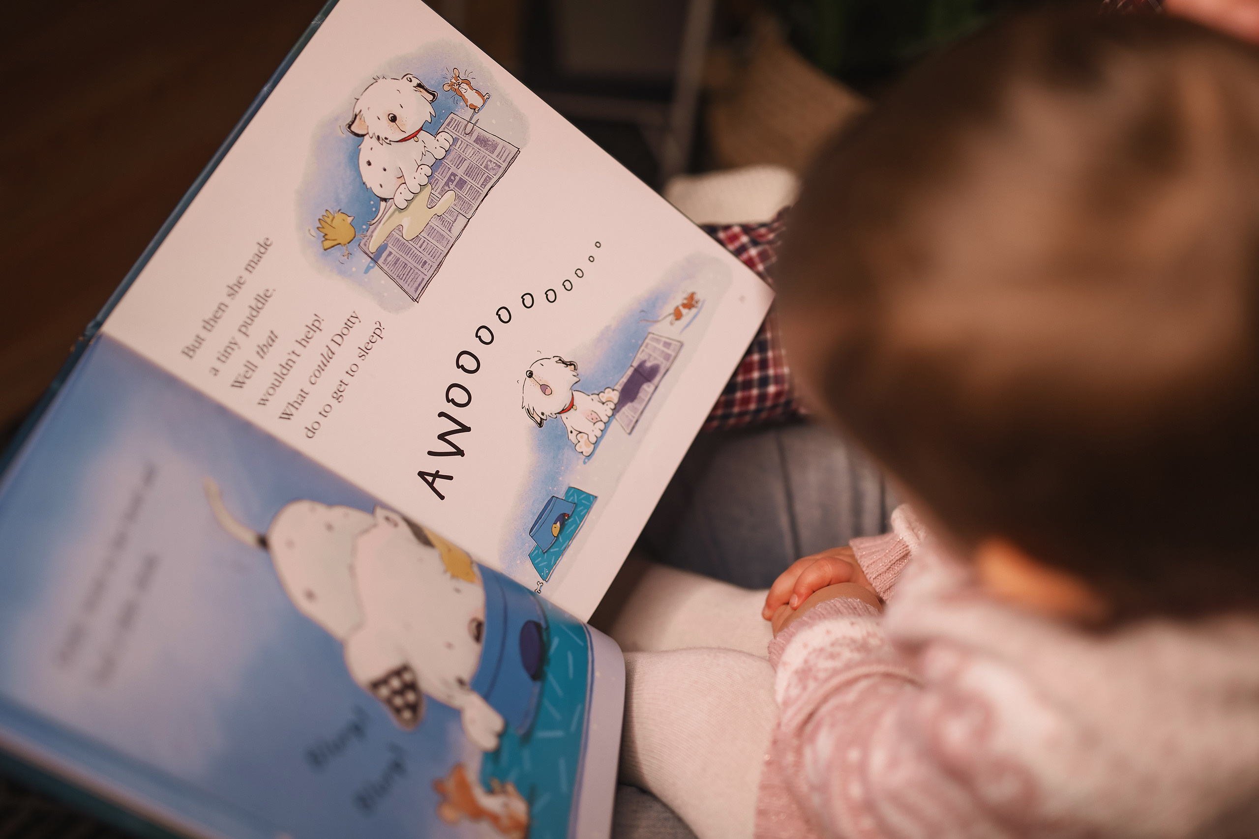 12.06.2020 Christmas Family Photoshoot 16. Wedding family event photographer in Chicago Nick Yushevich