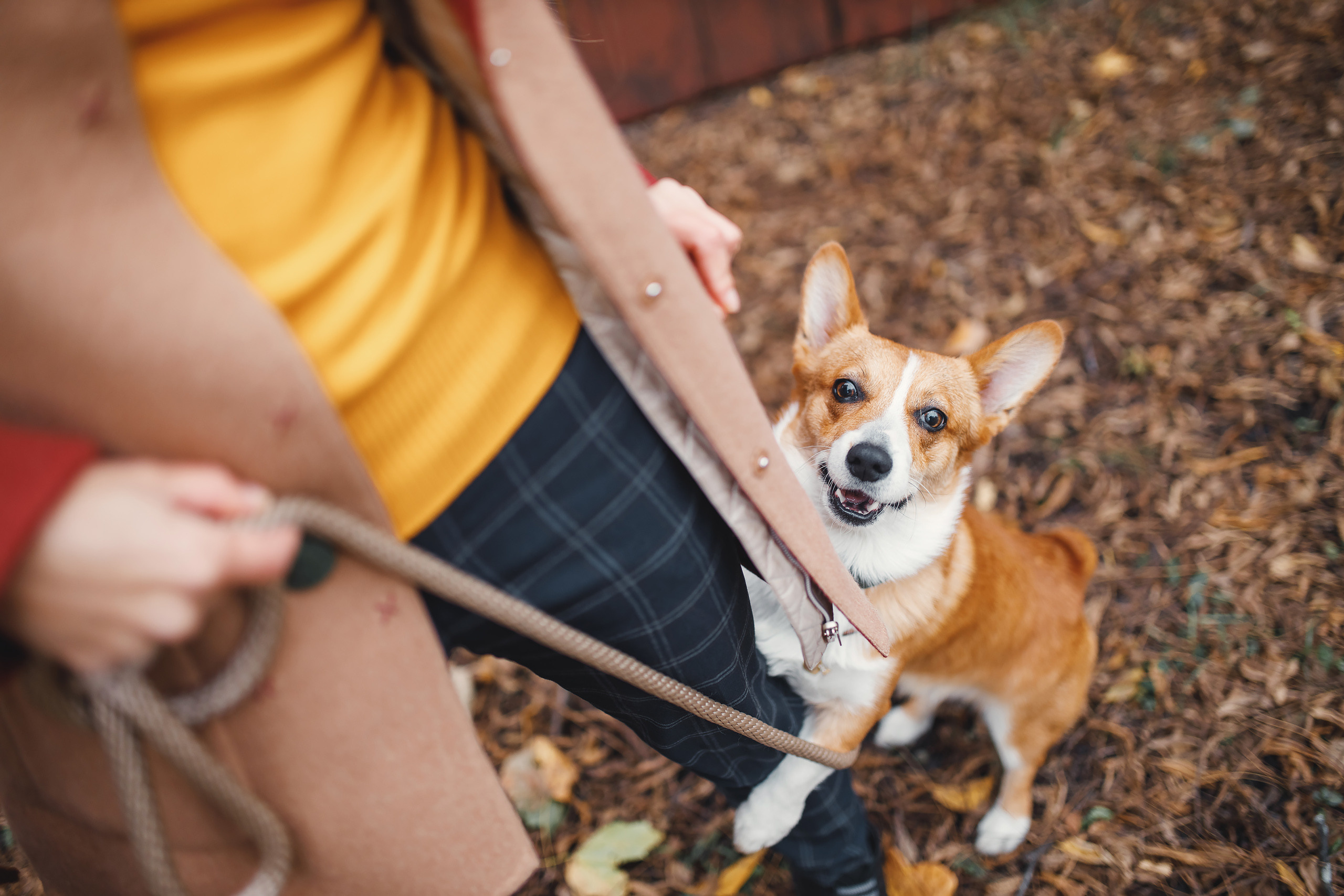 10.25.2020 Photoshoot. Wedding family event photographer in Chicago Nick Yushevich
