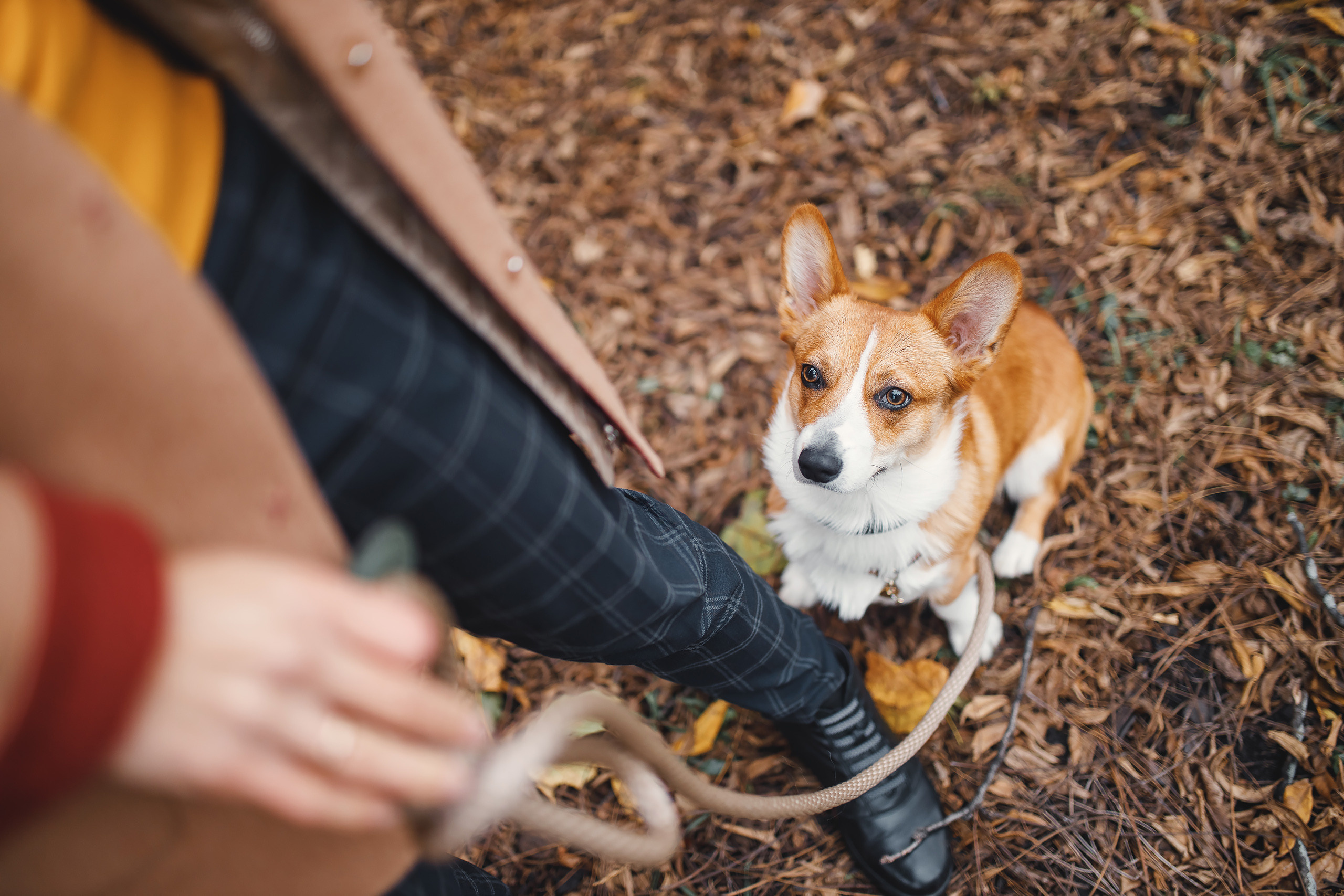 10.25.2020 Photoshoot. Wedding family event photographer in Chicago Nick Yushevich