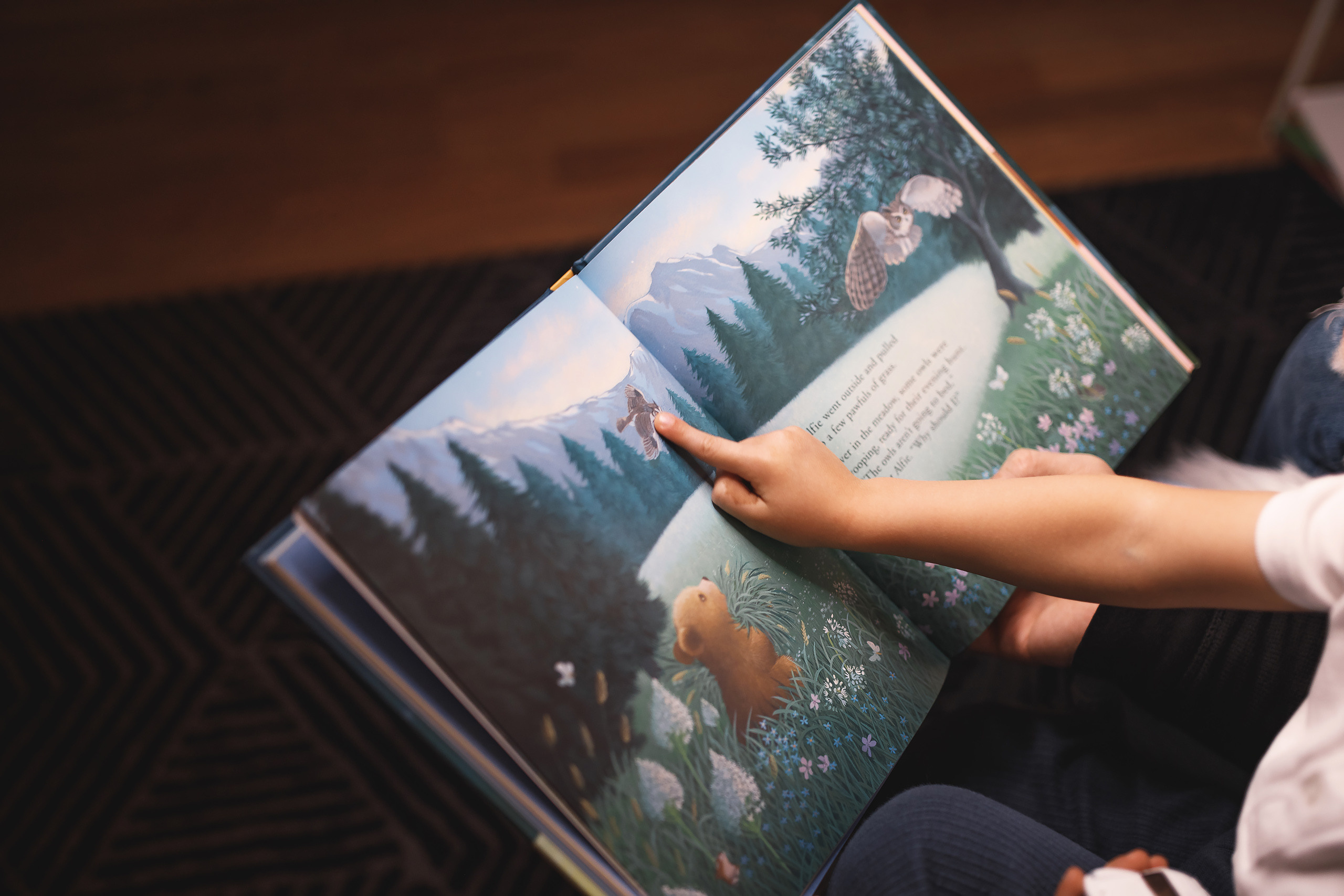 Christmas 20201107. Wedding family event photographer in Chicago Nick Yushevich