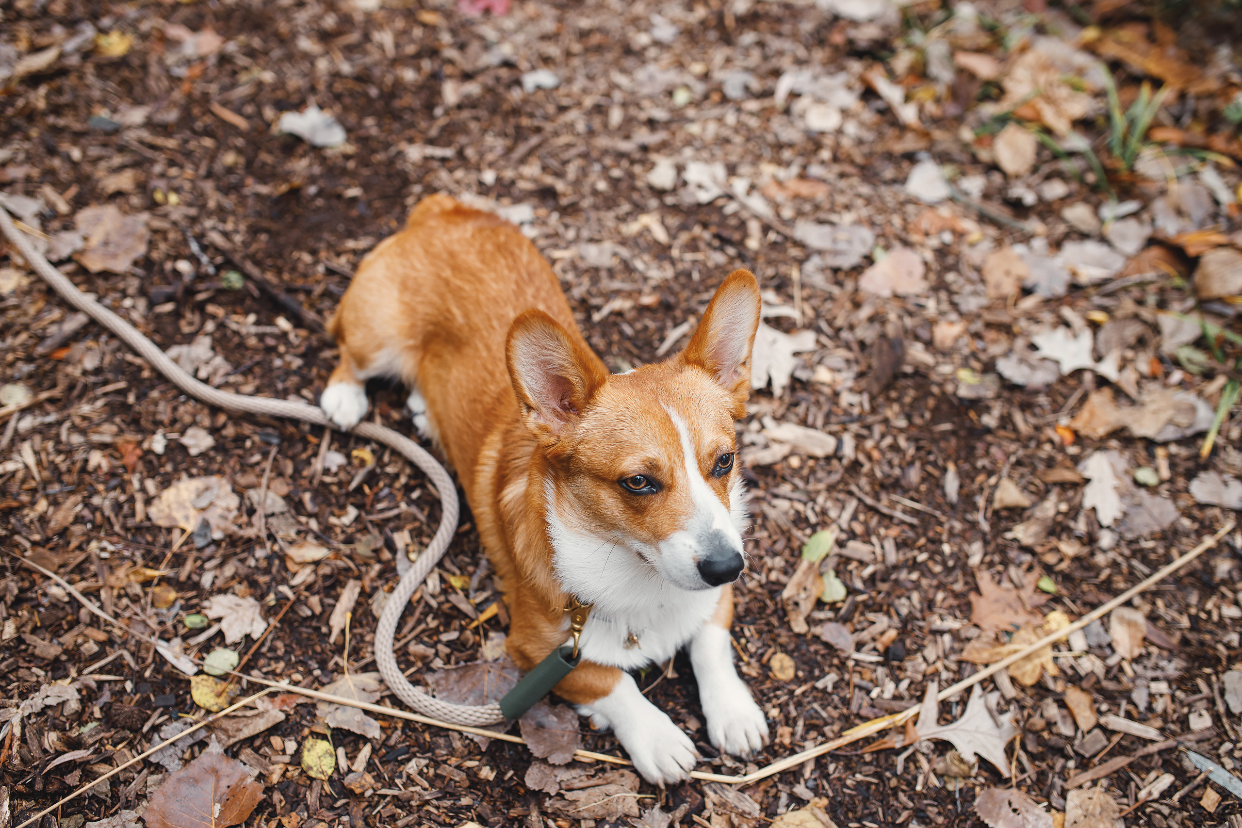 10.25.2020 Photoshoot. Wedding family event photographer in Chicago Nick Yushevich