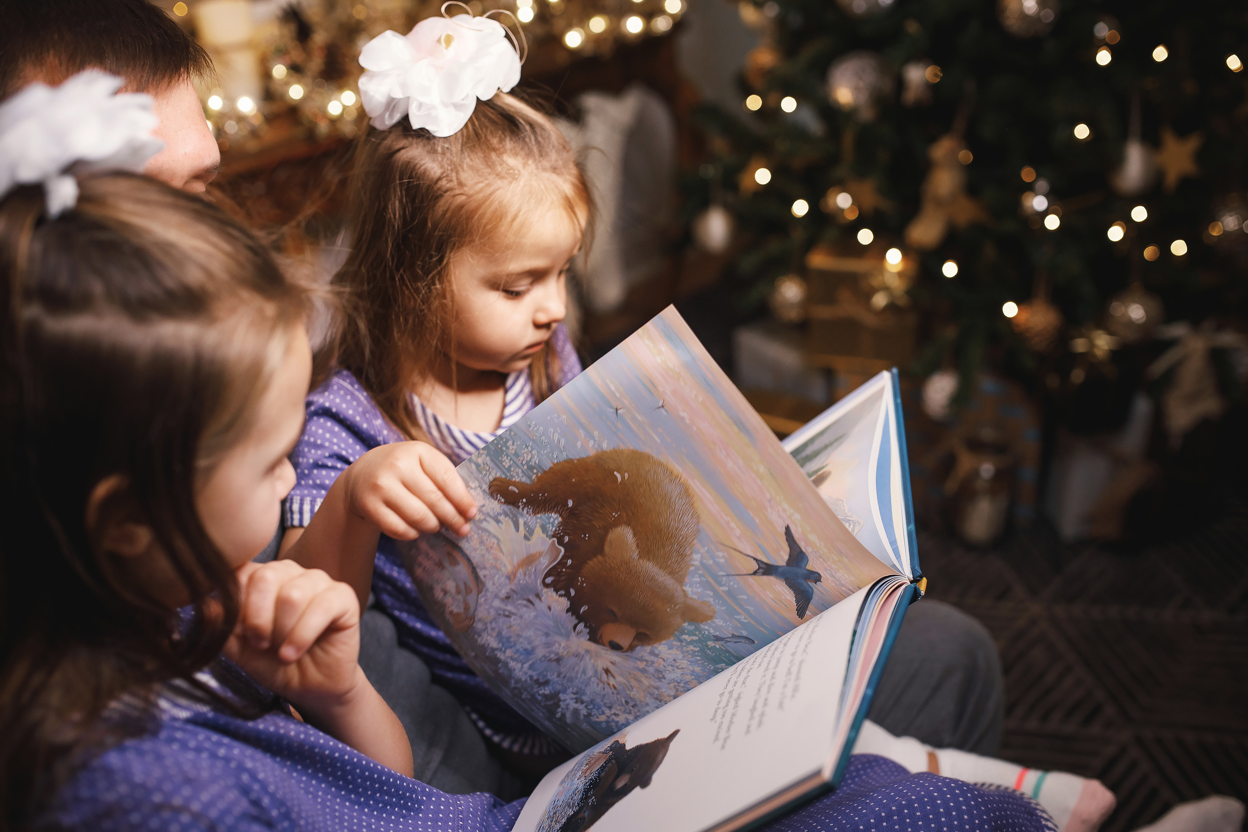 11.15.2020 Christmas Family Photoshoot 3. Wedding family event photographer in Chicago Nick Yushevich