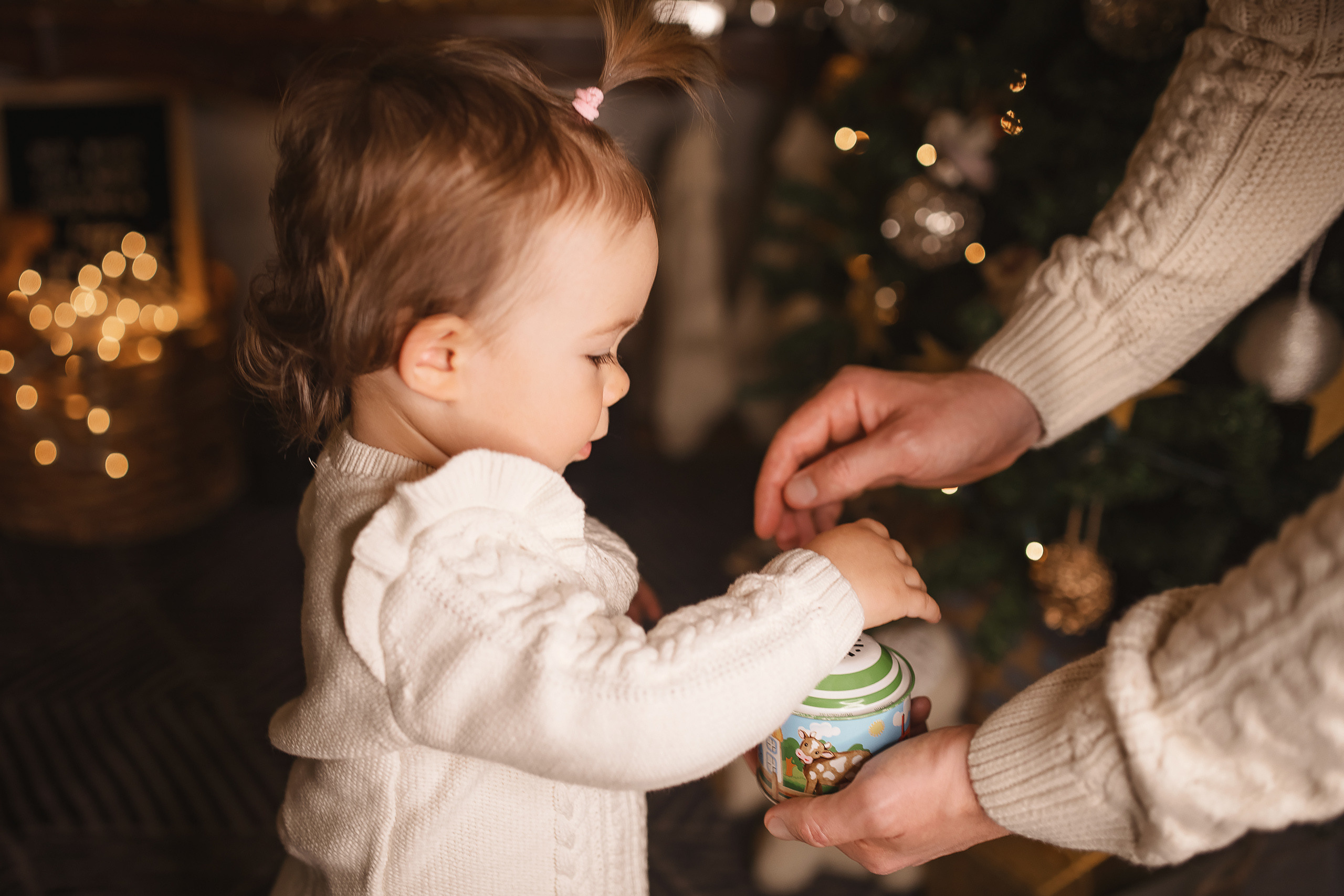 12.05.2020 Christmas Family Photoshoot 14. Wedding family event photographer in Chicago Nick Yushevich