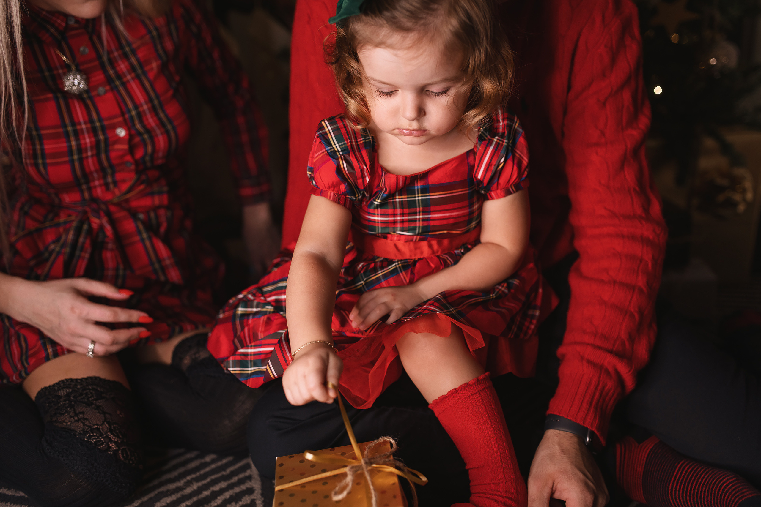 12.06.2020 Christmas Family Photoshoot 17. Wedding family event photographer in Chicago Nick Yushevich