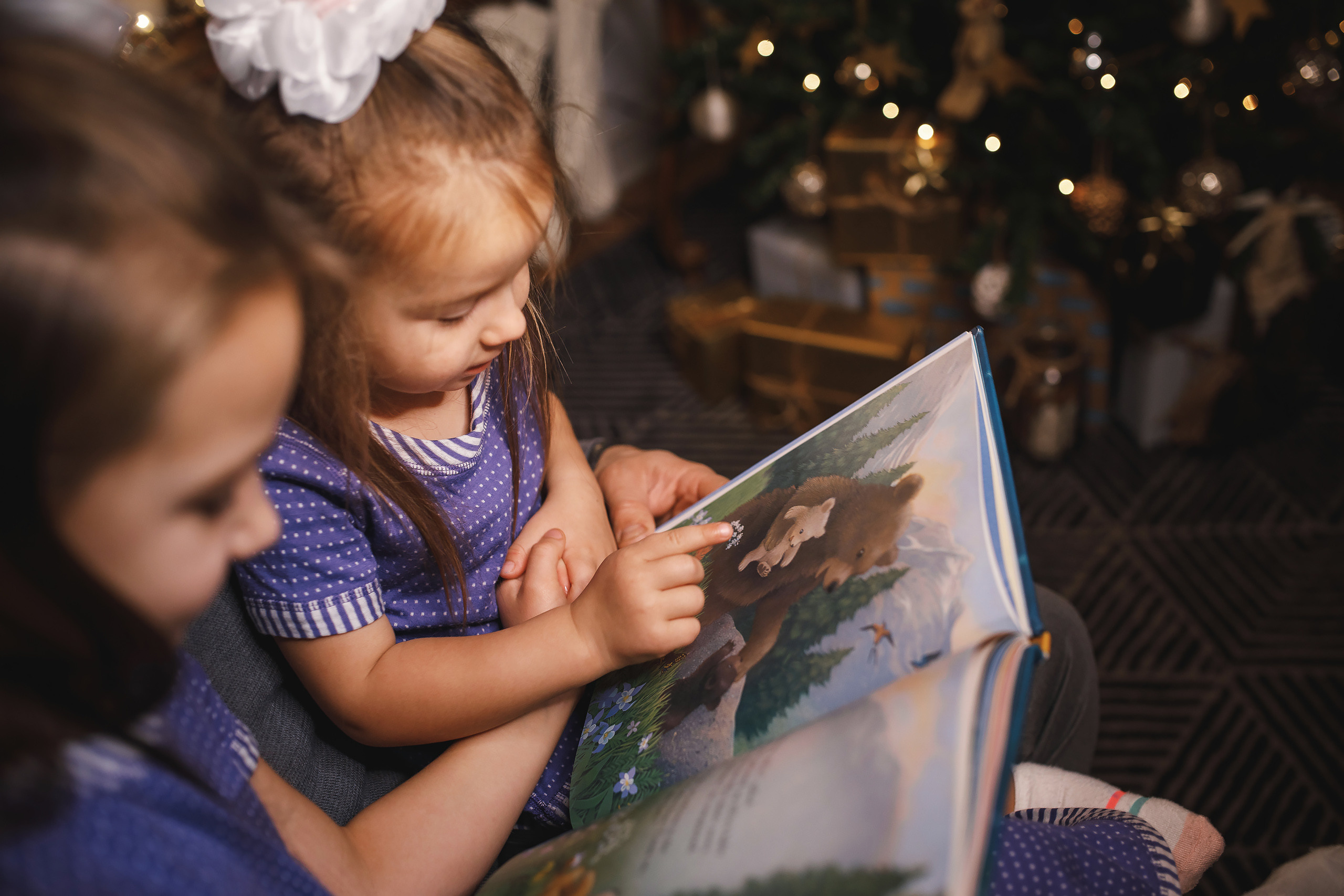 11.15.2020 Christmas Family Photoshoot 3. Wedding family event photographer in Chicago Nick Yushevich