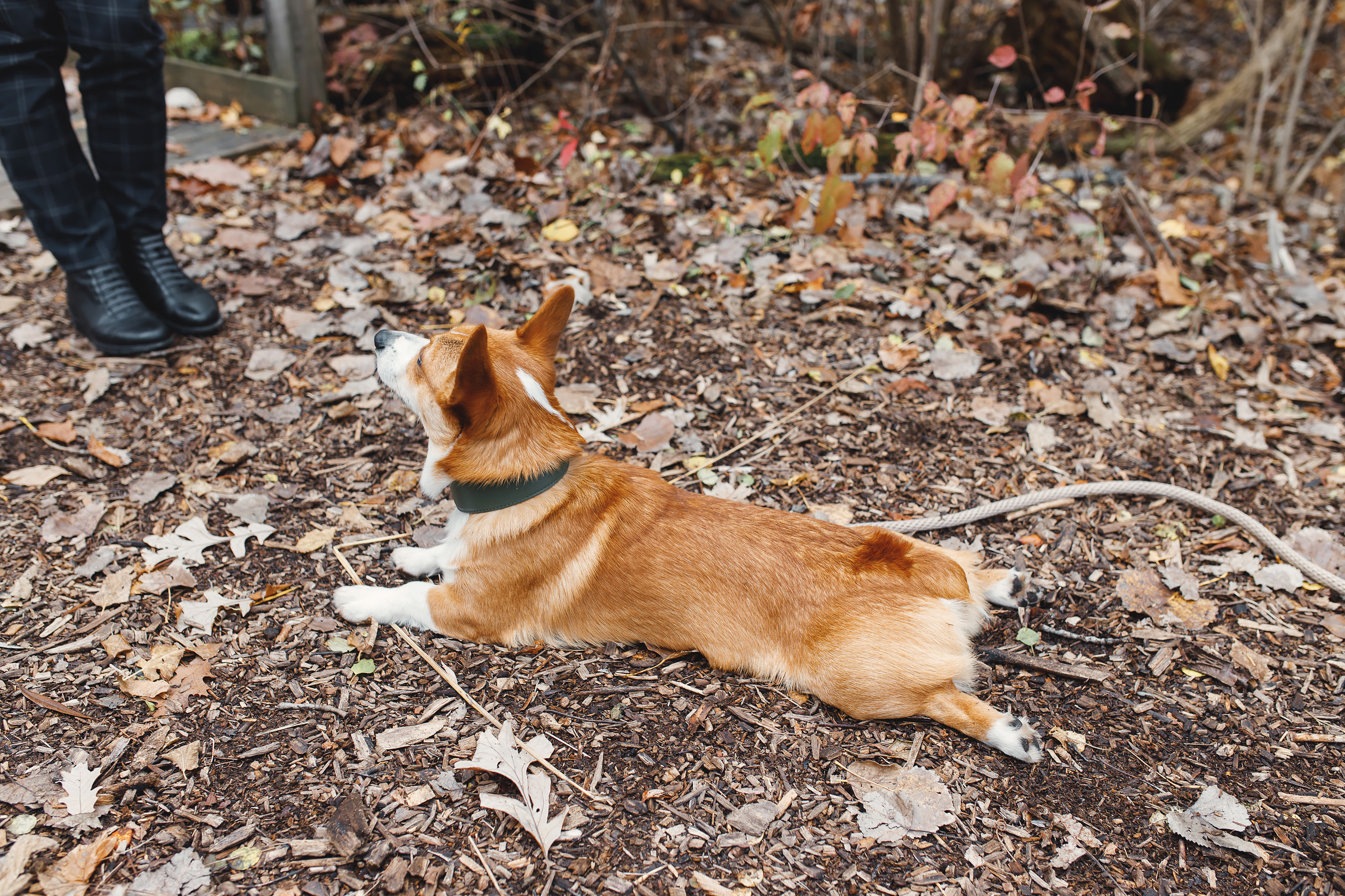 10.25.2020 Photoshoot. Wedding family event photographer in Chicago Nick Yushevich