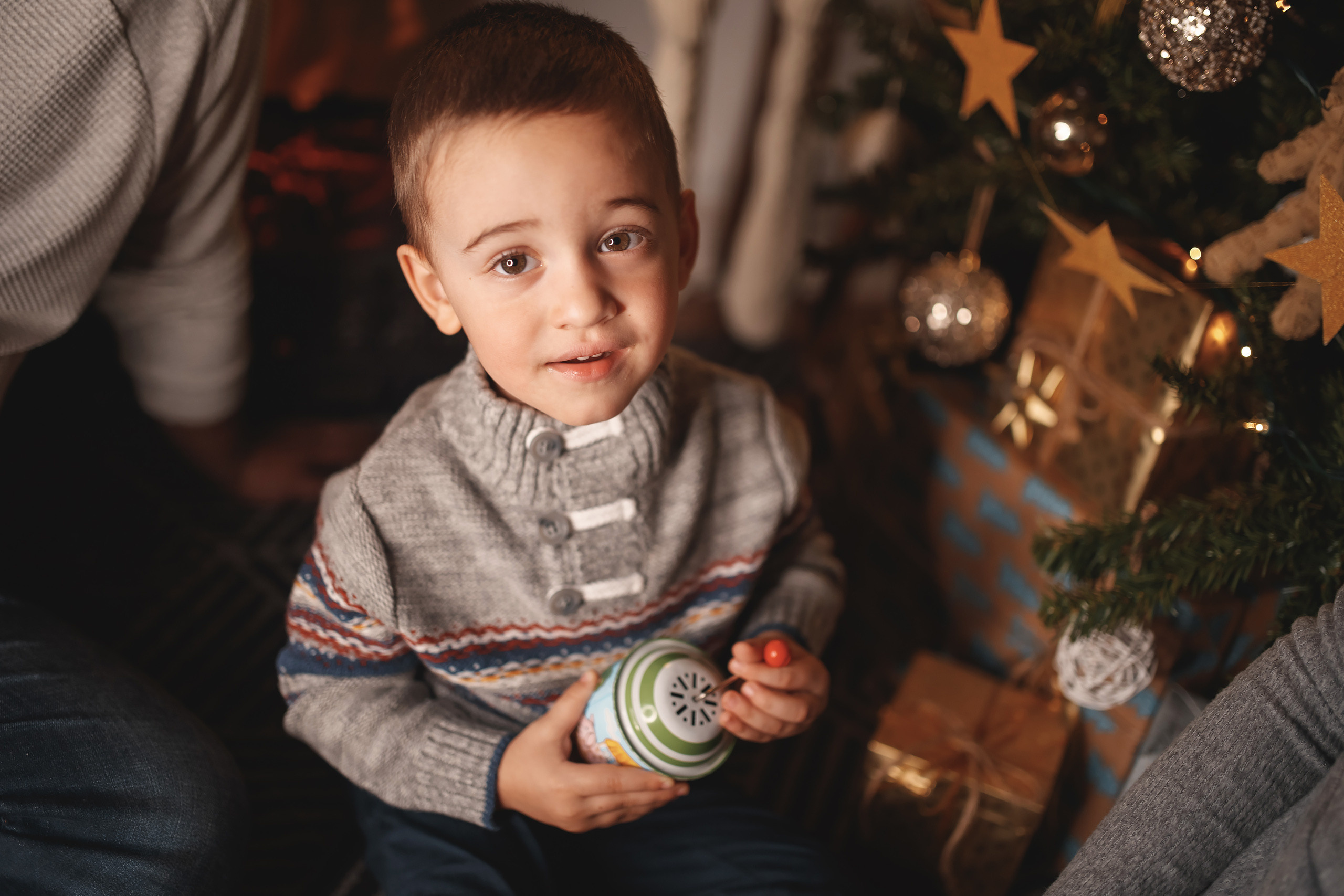 12.11.2020 Christmas Family Photoshoot 19. Wedding family event photographer in Chicago Nick Yushevich