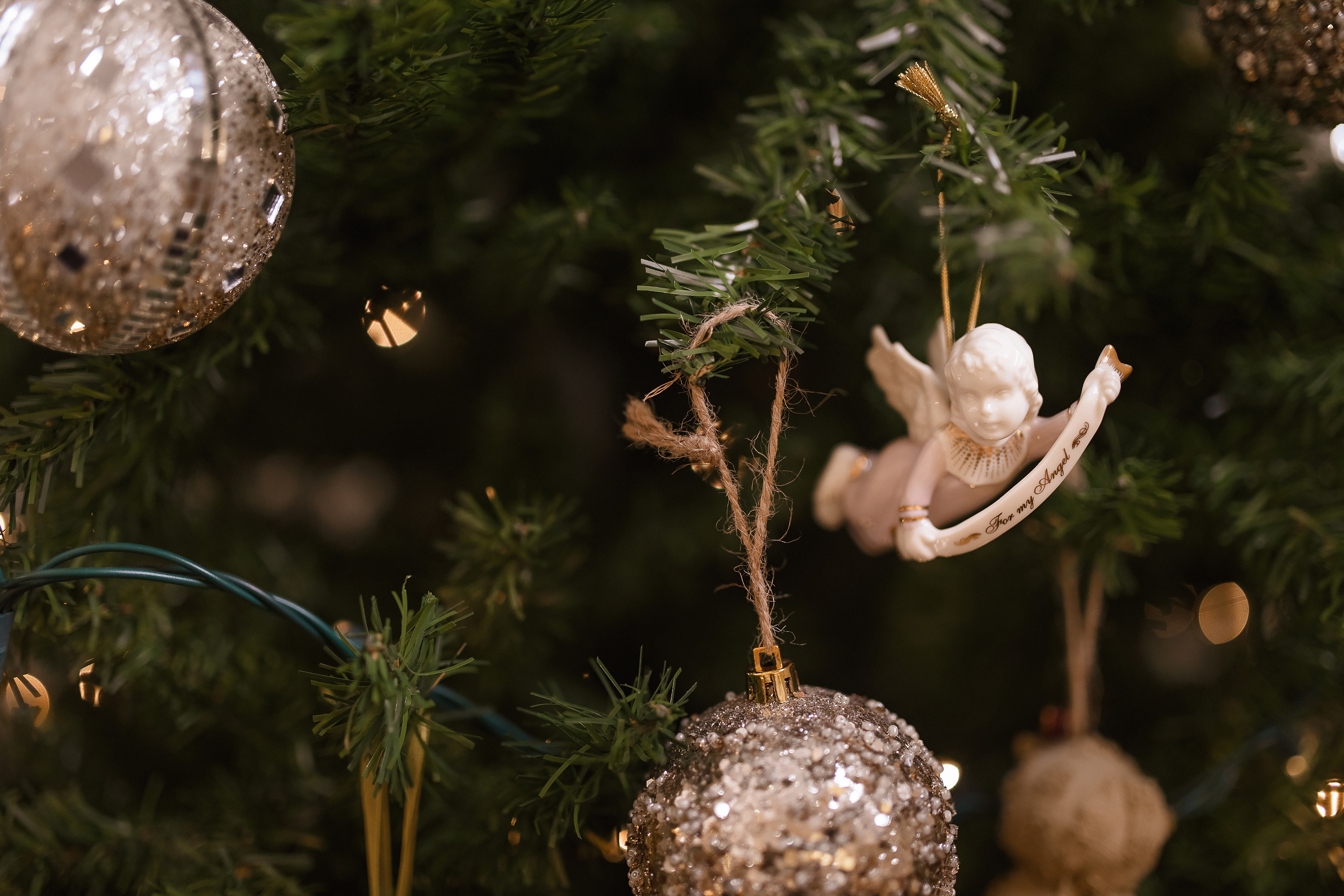 12.06.2020 Christmas Family Photoshoot 16. Wedding family event photographer in Chicago Nick Yushevich