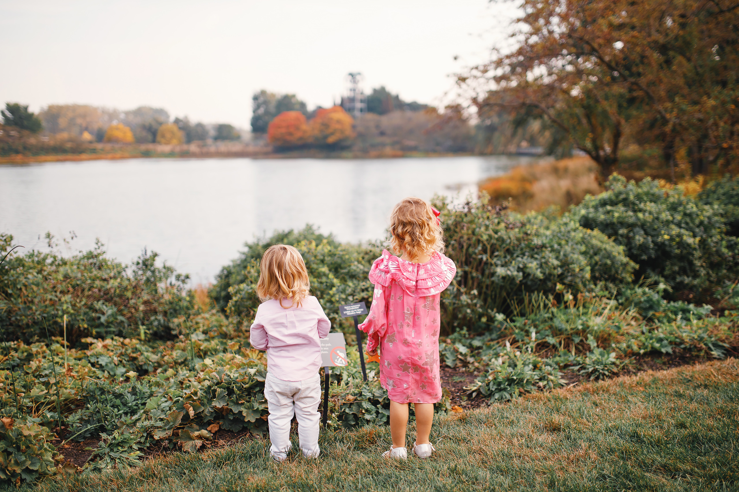 10.09.2020 Family photoshoot. Wedding family event photographer in Chicago Nick Yushevich