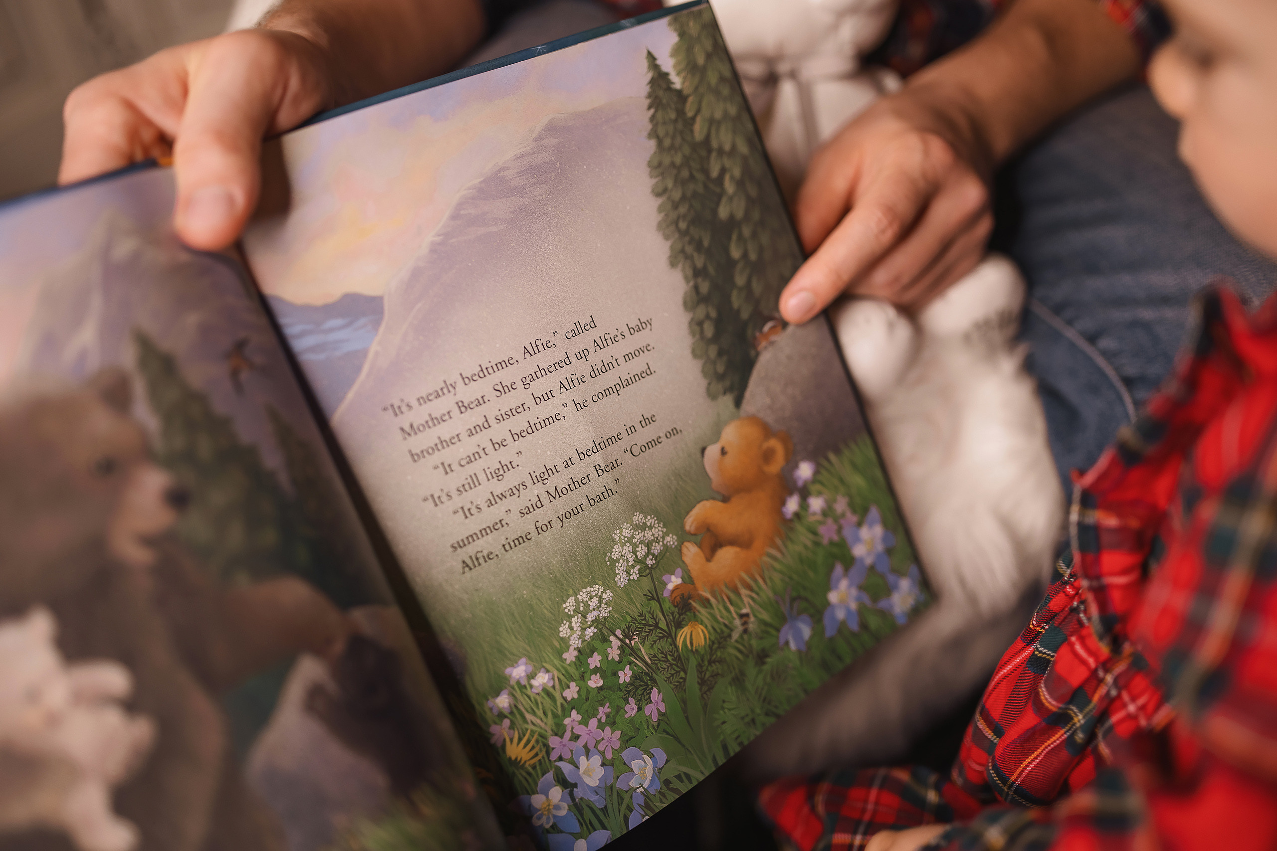 12.05.2020 Christmas Family Photoshoot 14. Wedding family event photographer in Chicago Nick Yushevich