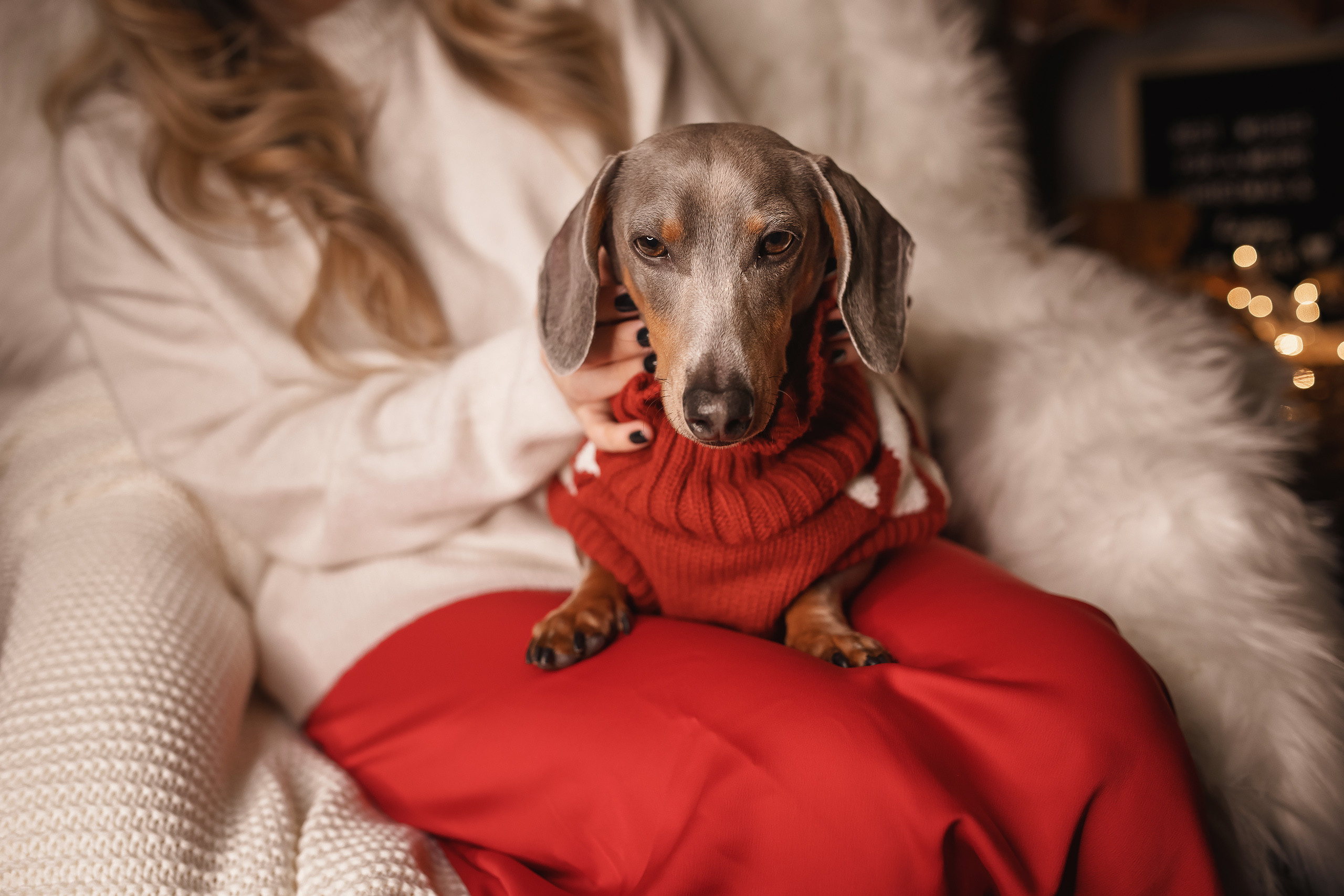 12.05.2020 Christmas Family Photoshoot 10. Wedding family event photographer in Chicago Nick Yushevich