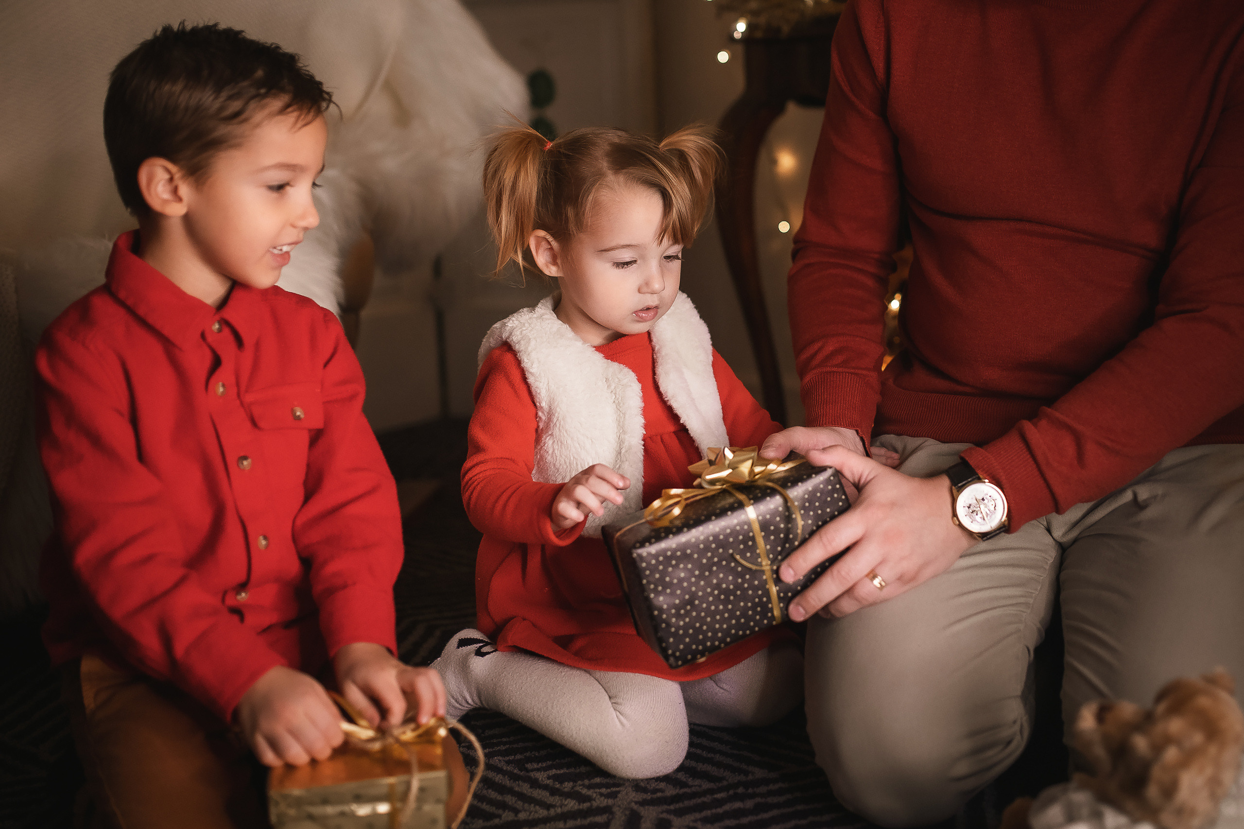 11.28.2020 Christmas Family Photoshoot 7. Wedding family event photographer in Chicago Nick Yushevich