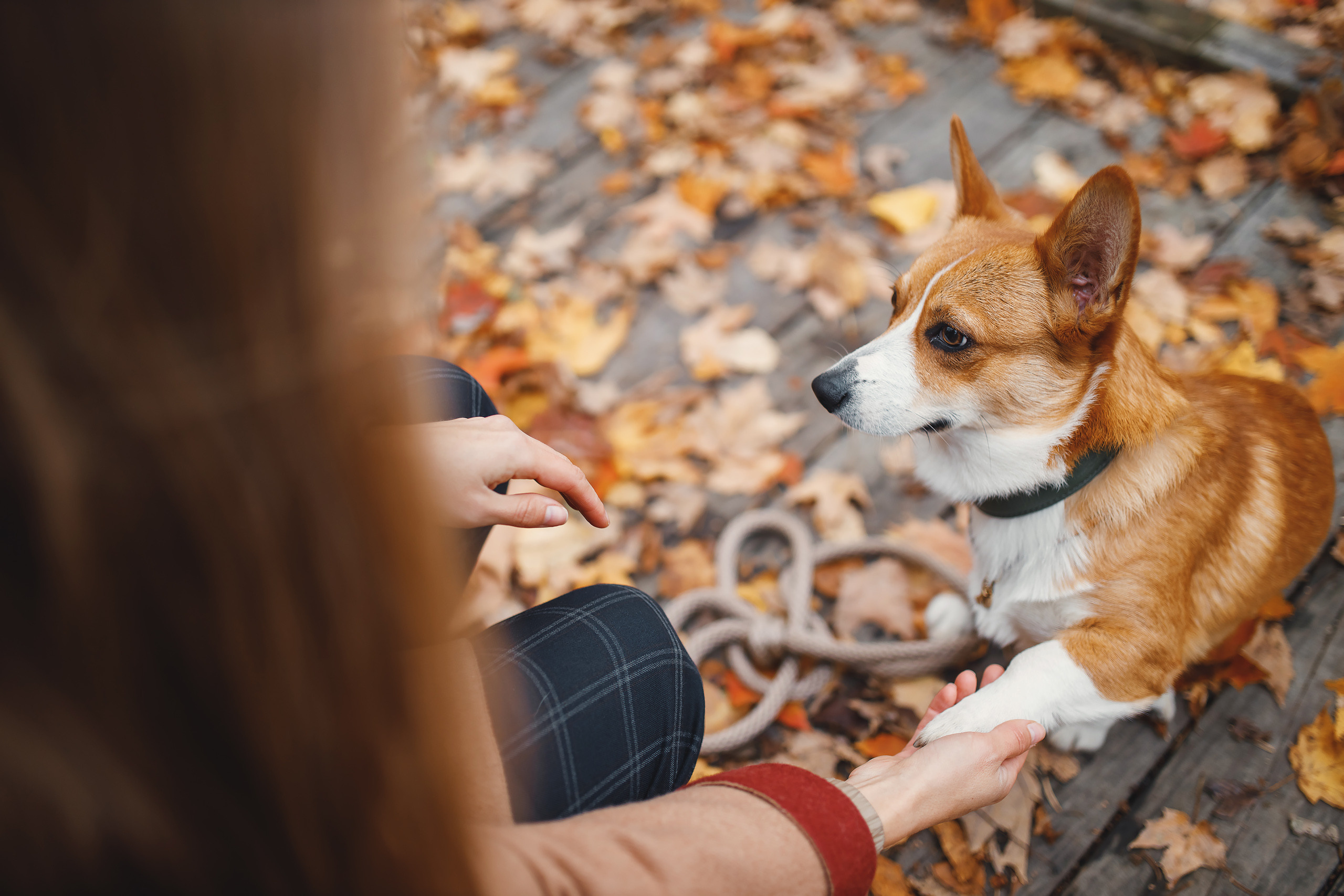 10.25.2020 Photoshoot. Wedding family event photographer in Chicago Nick Yushevich