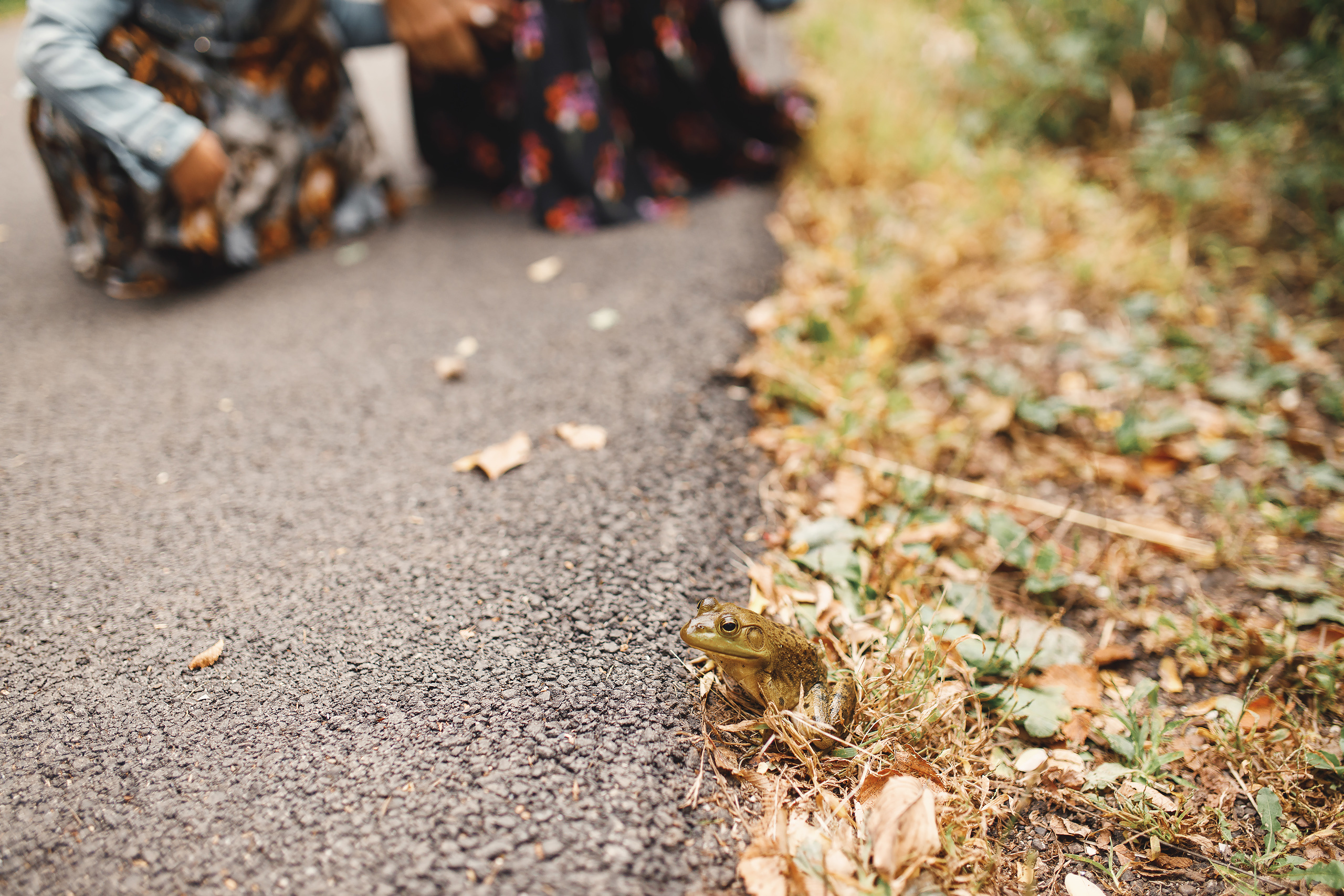 09.26.2020 Family photoshoot. Wedding family event photographer in Chicago Nick Yushevich