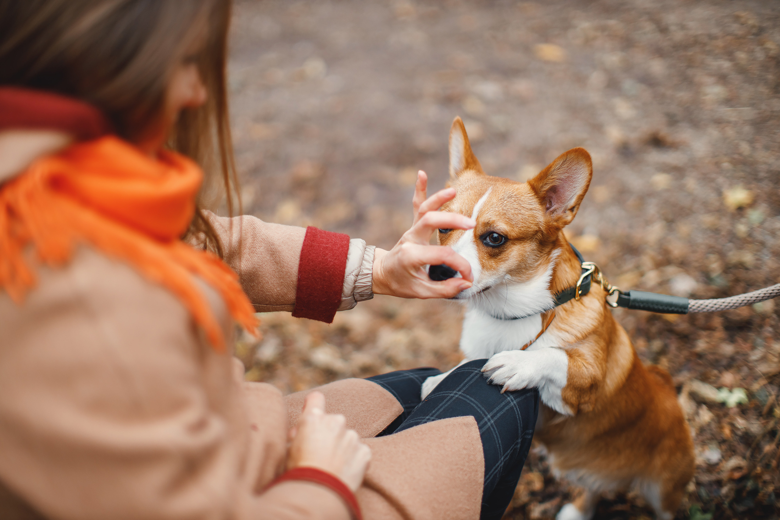 10.25.2020 Photoshoot. Wedding family event photographer in Chicago Nick Yushevich