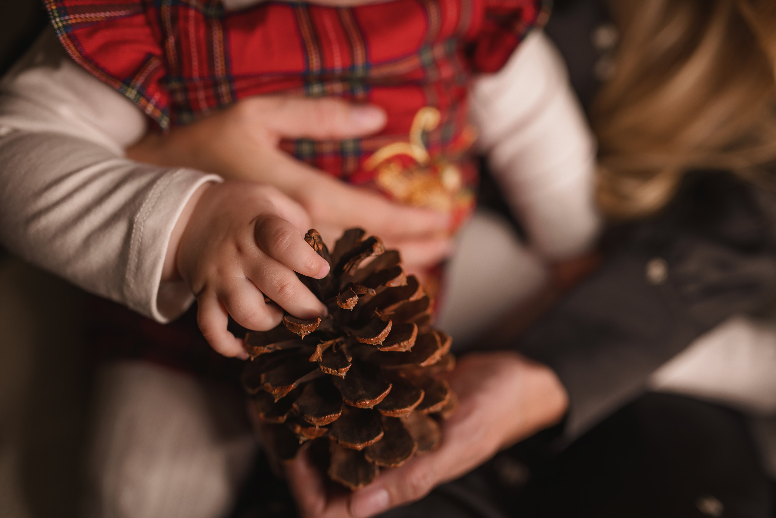 12.05.2020 Christmas Family Photoshoot 11. Wedding family event photographer in Chicago Nick Yushevich