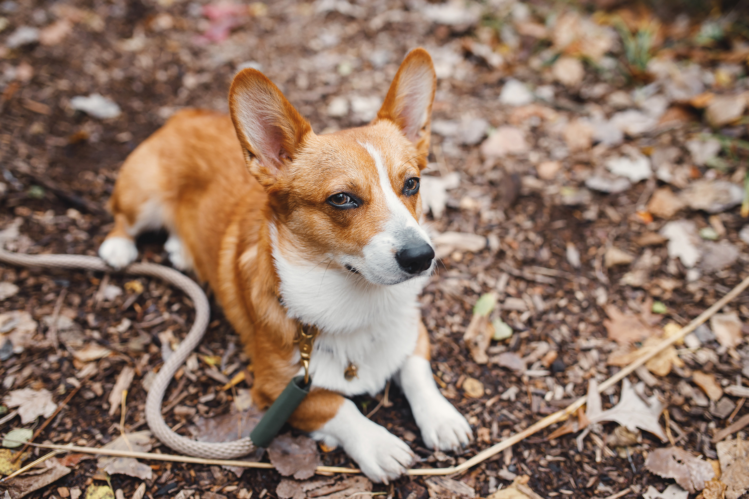 10.25.2020 Photoshoot. Wedding family event photographer in Chicago Nick Yushevich