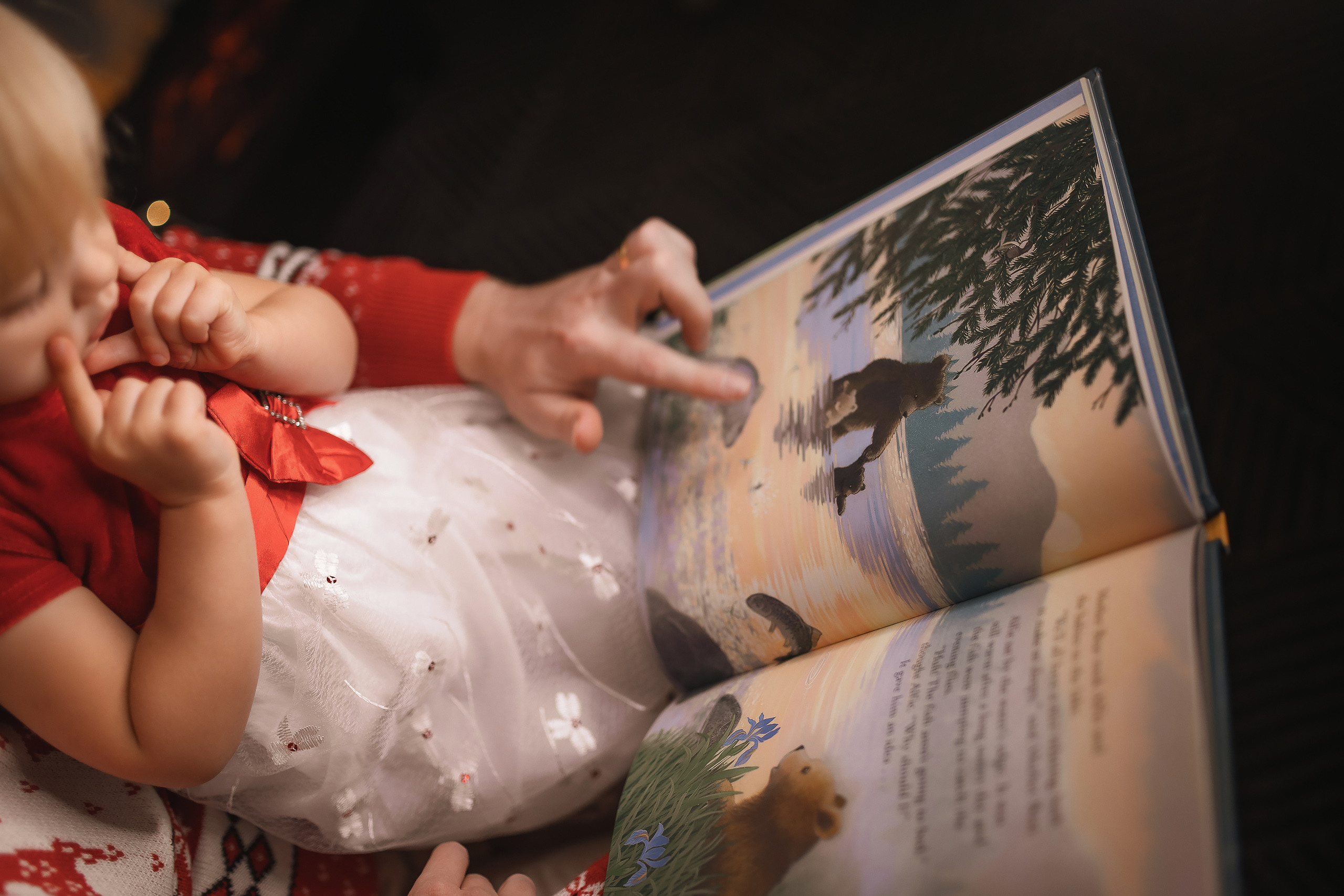 11.28.2020 Christmas Family Photoshoot 6. Wedding family event photographer in Chicago Nick Yushevich