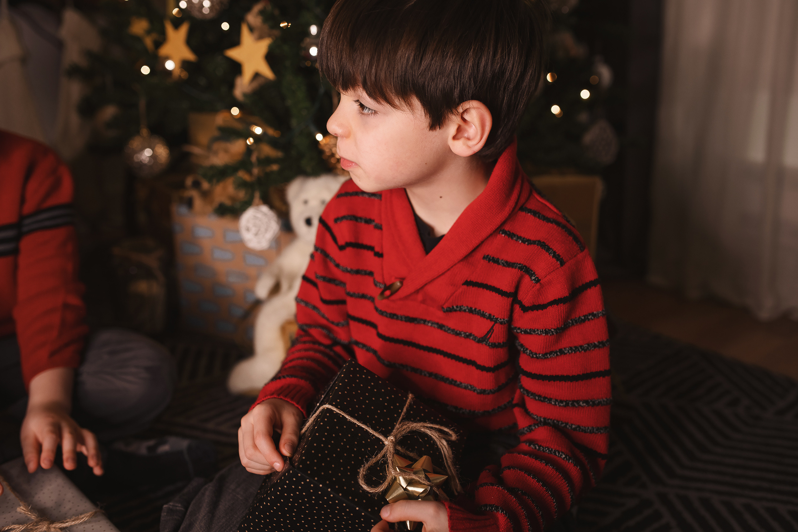 12.05.2020 Christmas Family Photoshoot 12. Wedding family event photographer in Chicago Nick Yushevich