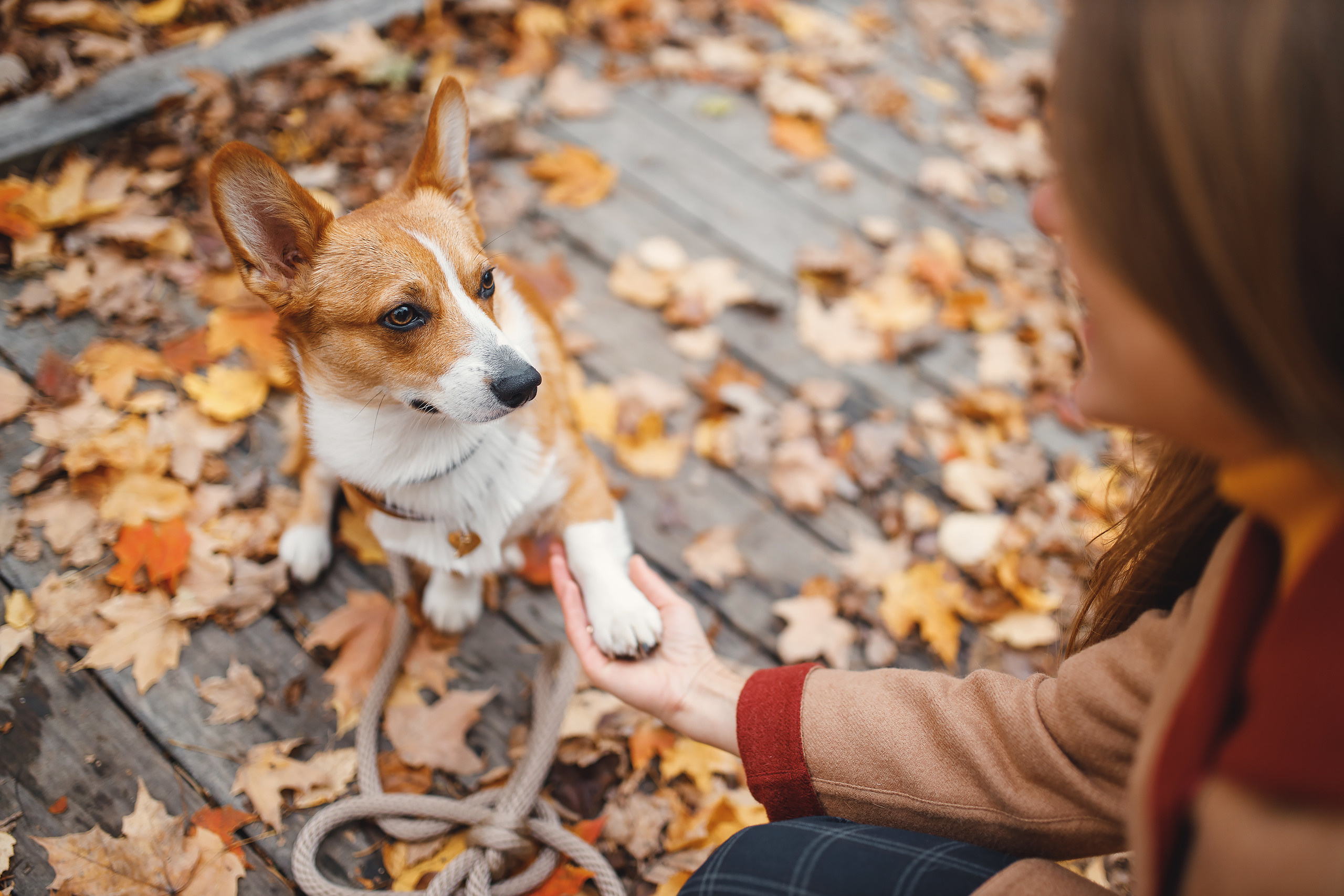 10.25.2020 Photoshoot. Wedding family event photographer in Chicago Nick Yushevich