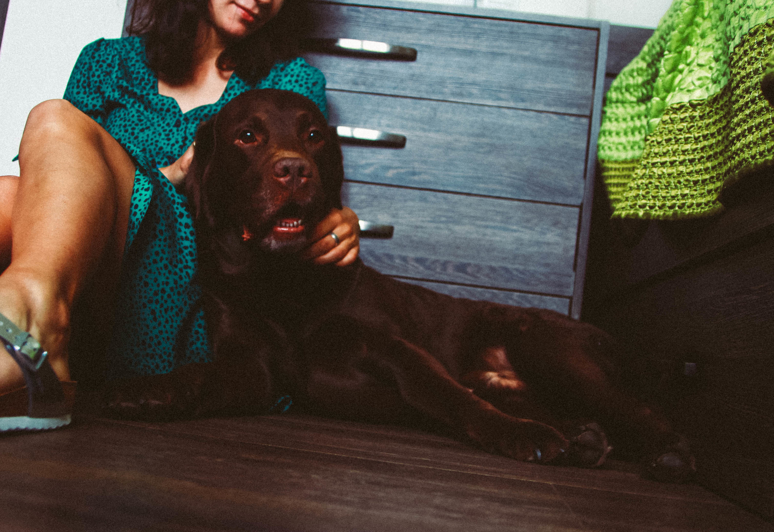 Собачье счастье. Family photographer in Tallinn Lia Usmanova