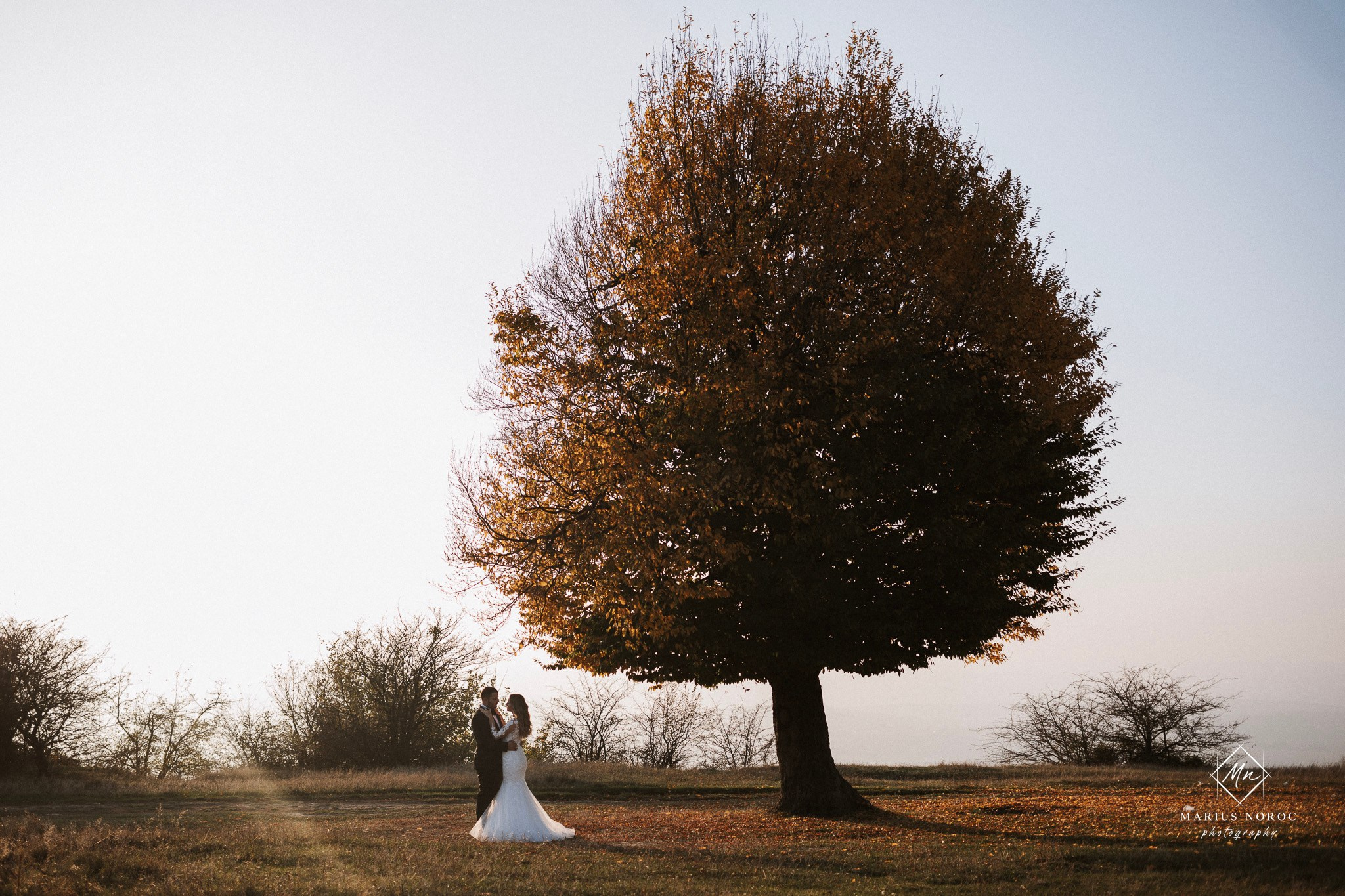 Alexandra & Laurentiu | Padurea Bucium Iasi