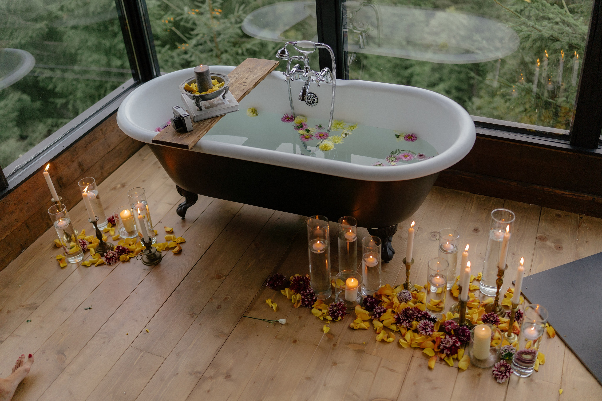 Flowers. Patricia Morenci — Mountain Adventures for the Wild at Heart