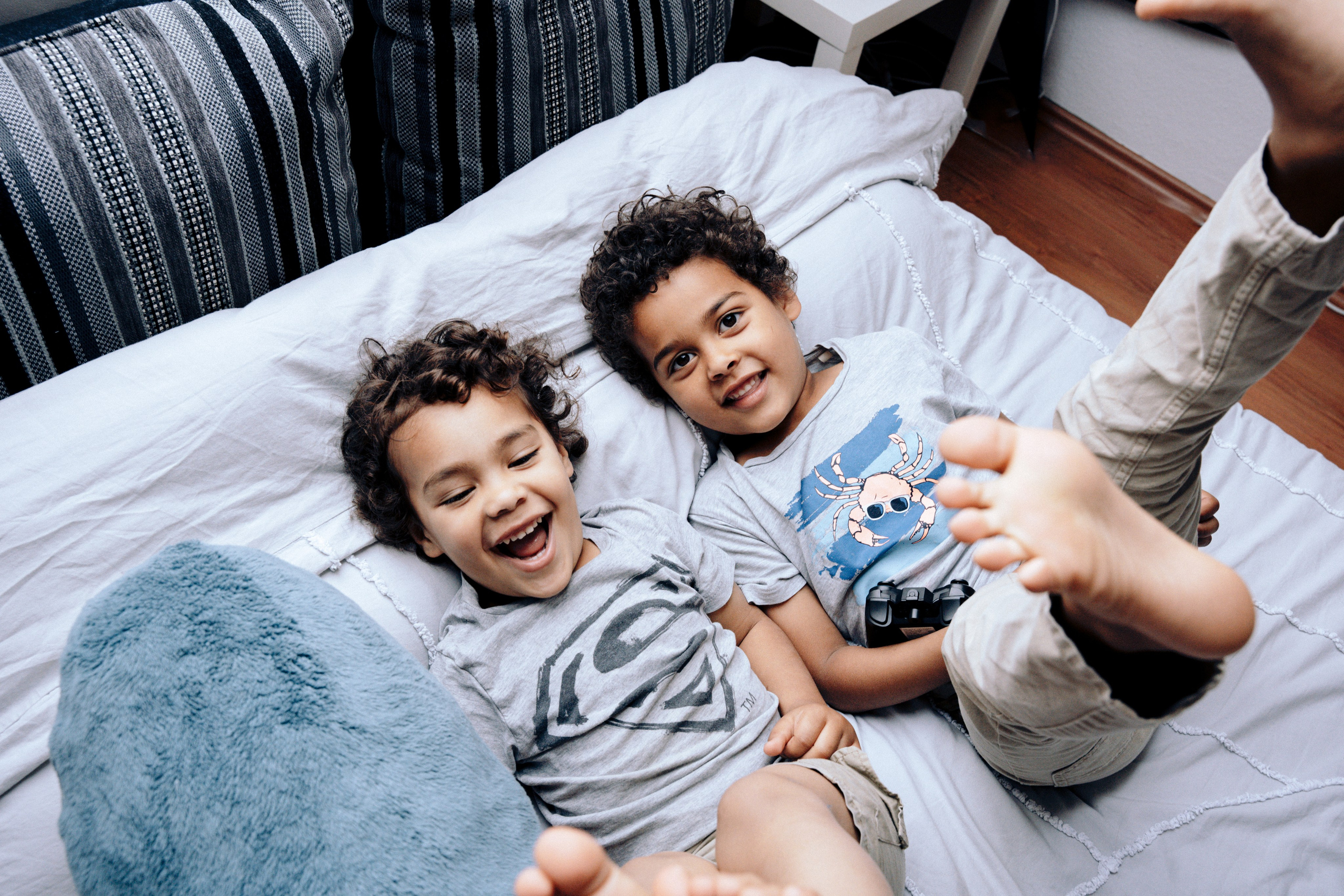 Kraken. Photograf NRW