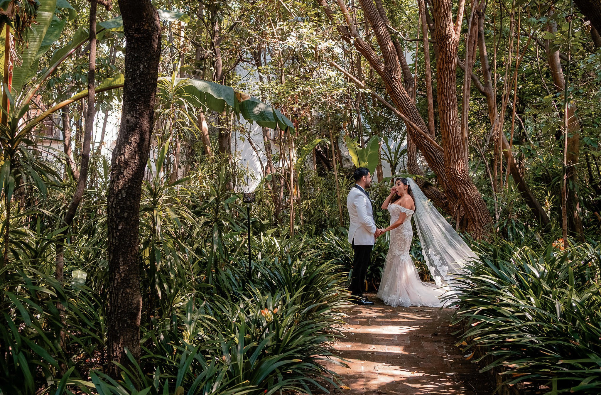 Steph & Bryan. Wedding and family photographer in Mexico City