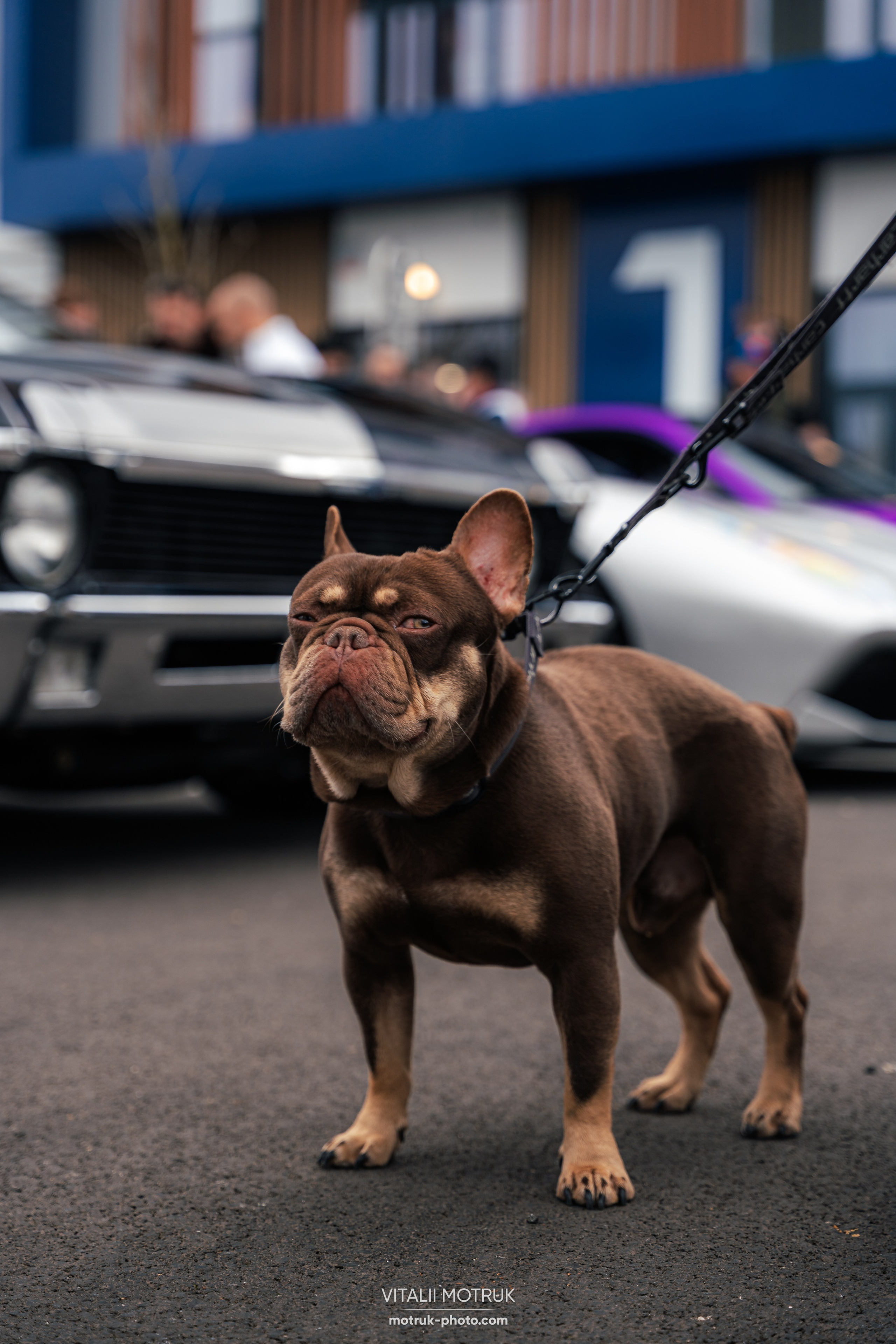 Cars and Coffee 9 mars — BEMA. Photographe de voitures à Paris — Vitalii Motruk