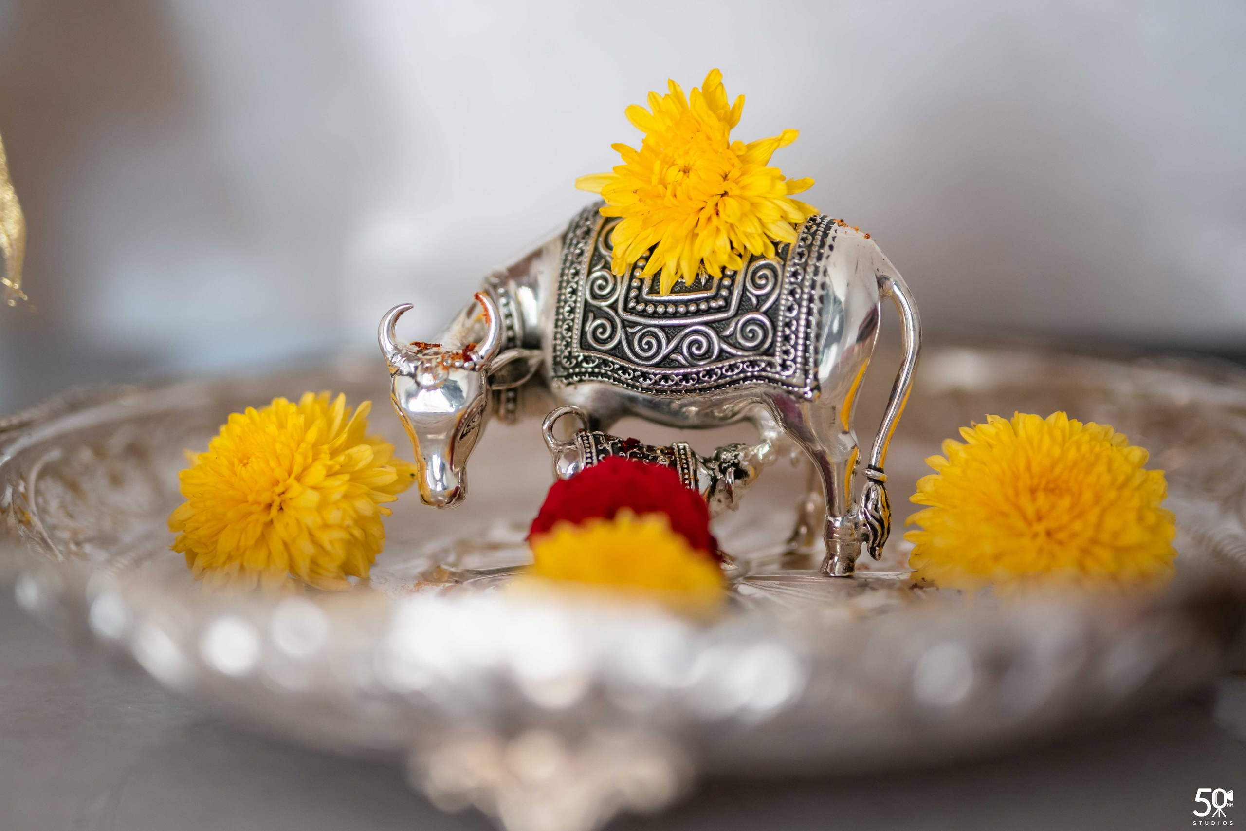 DWARAKADEESHA GRUHAPRAVESHA. 50mm STUDIOS