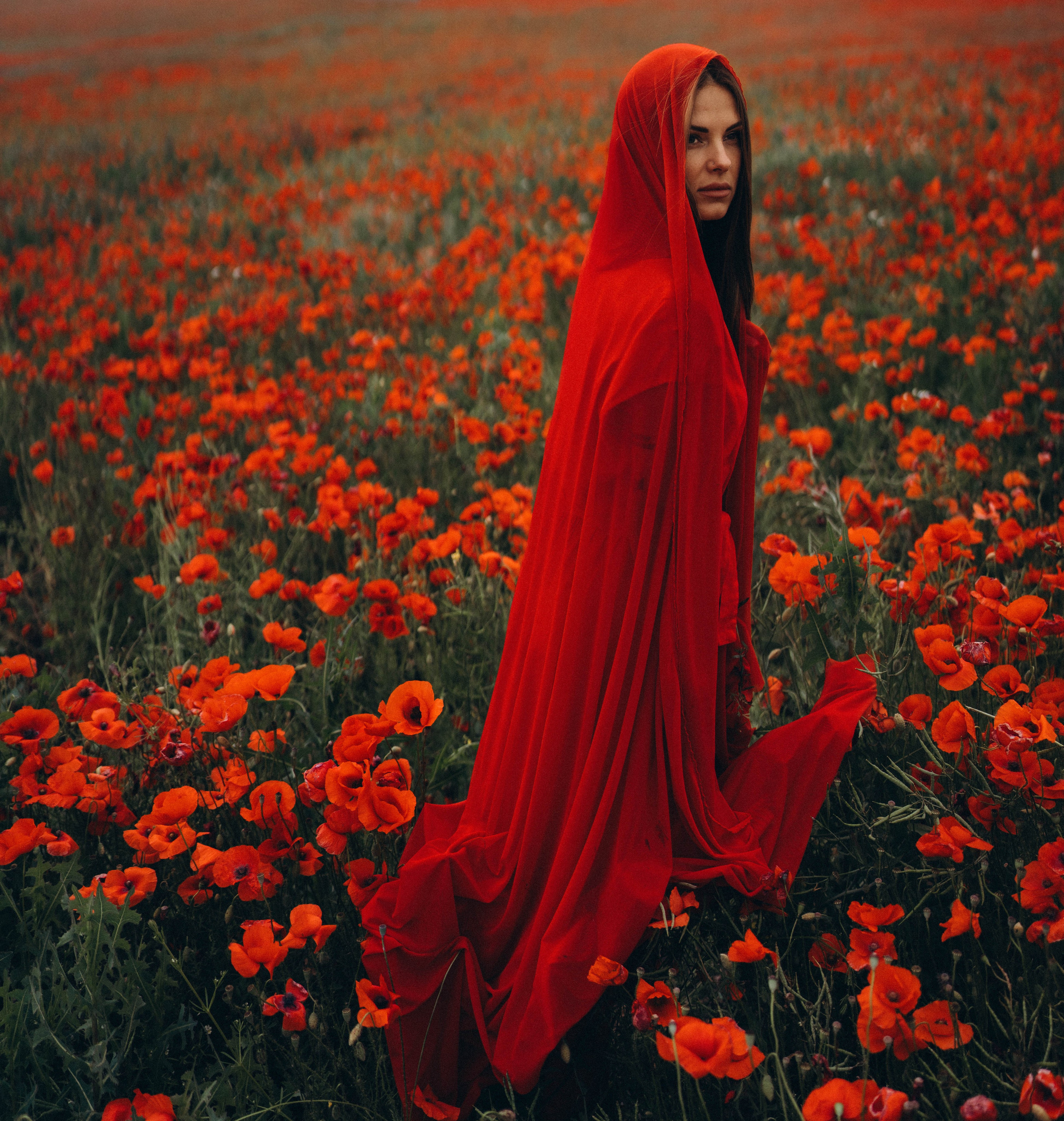 Mák. Fotograf Teplice // Alexandra Ribola