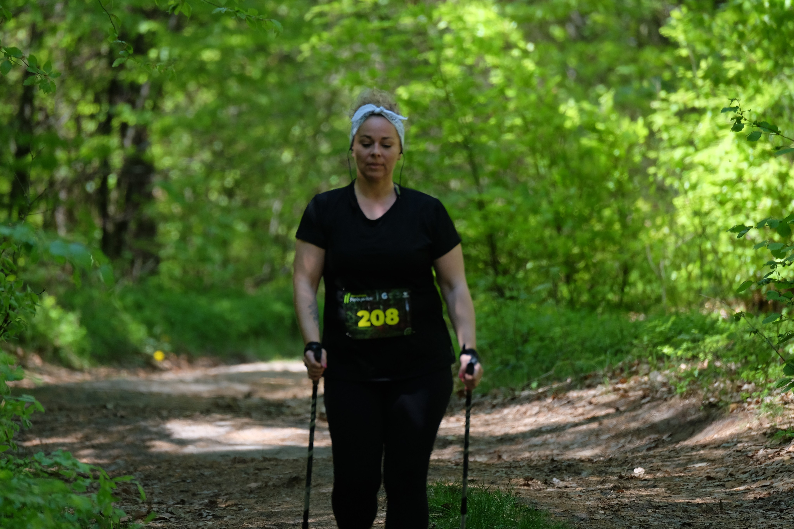 Aleksandryjska Piątka po lesie. Main